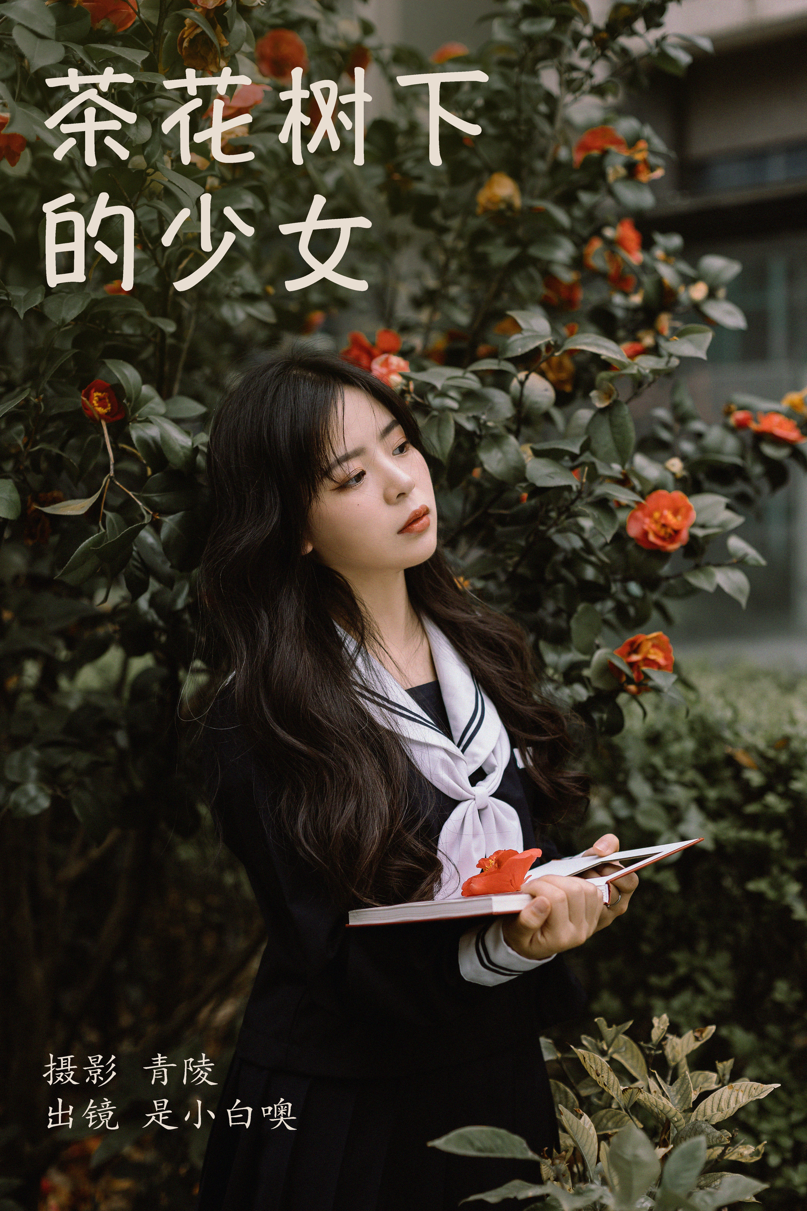 茶花树下的少女 JK 少女 花 文艺 清纯 唯美