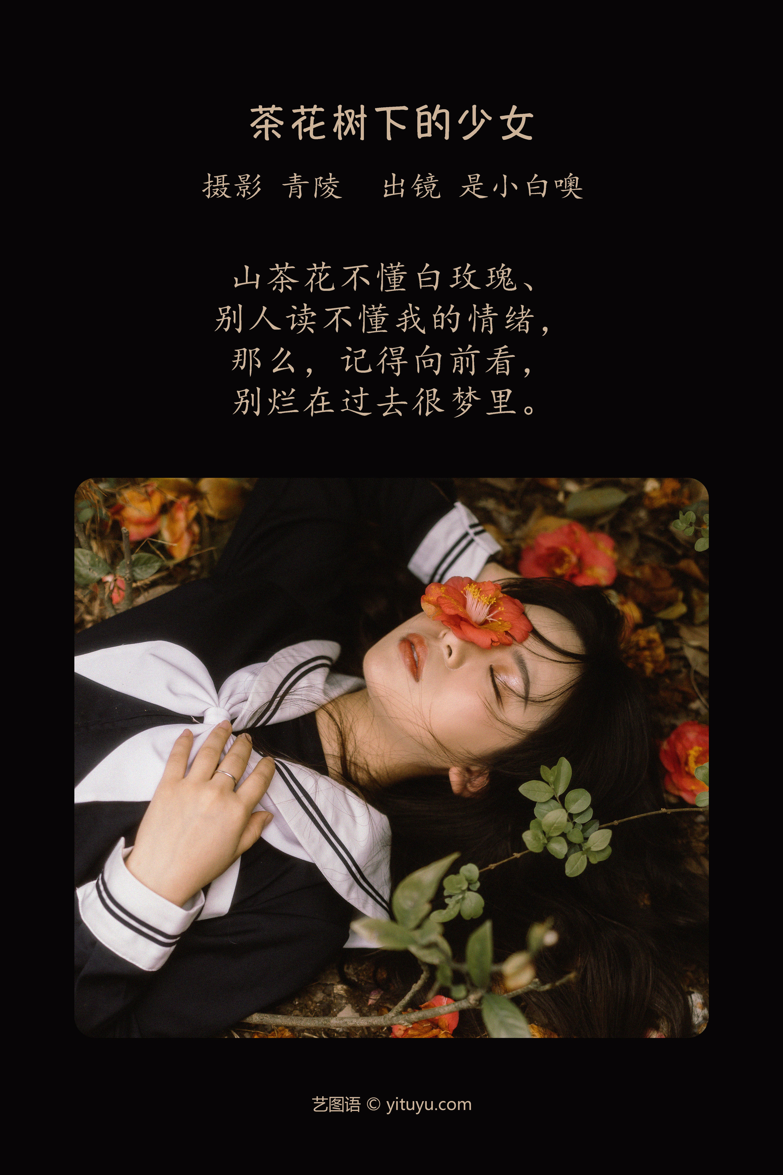 茶花树下的少女 JK 少女 花 文艺 清纯 唯美