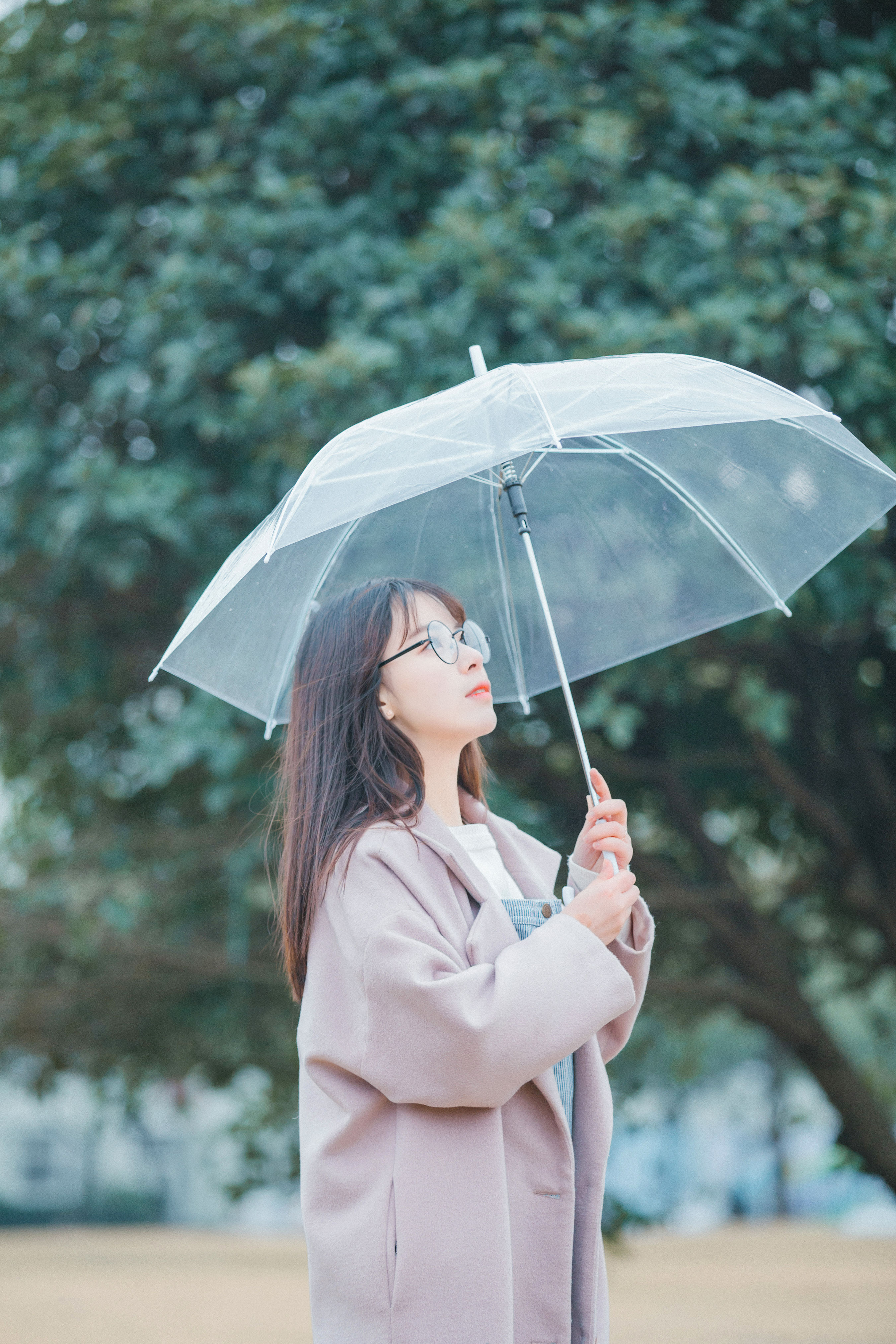 少女故事 青春 治愈系 少女 小清新 校花