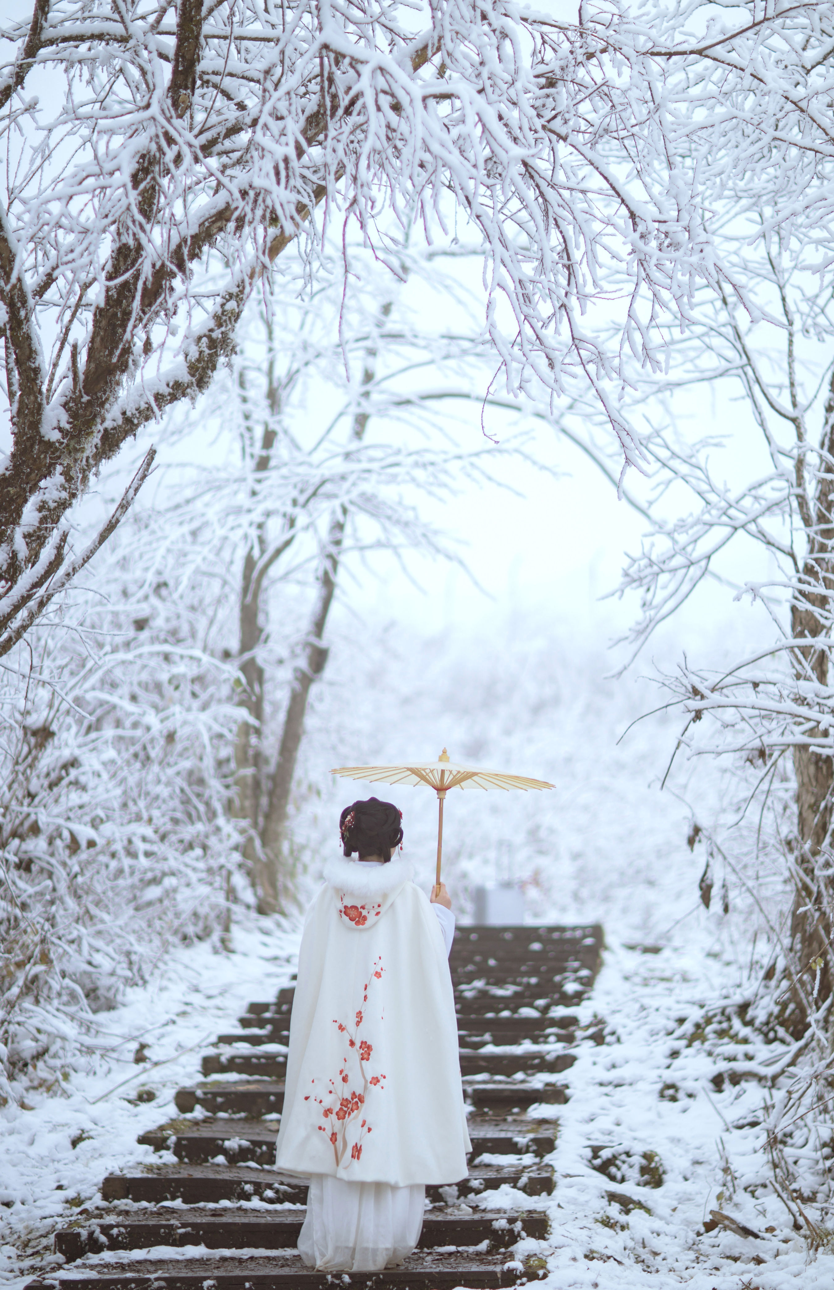 梅花香自苦寒来 冬天 雪景 汉服 花 少女