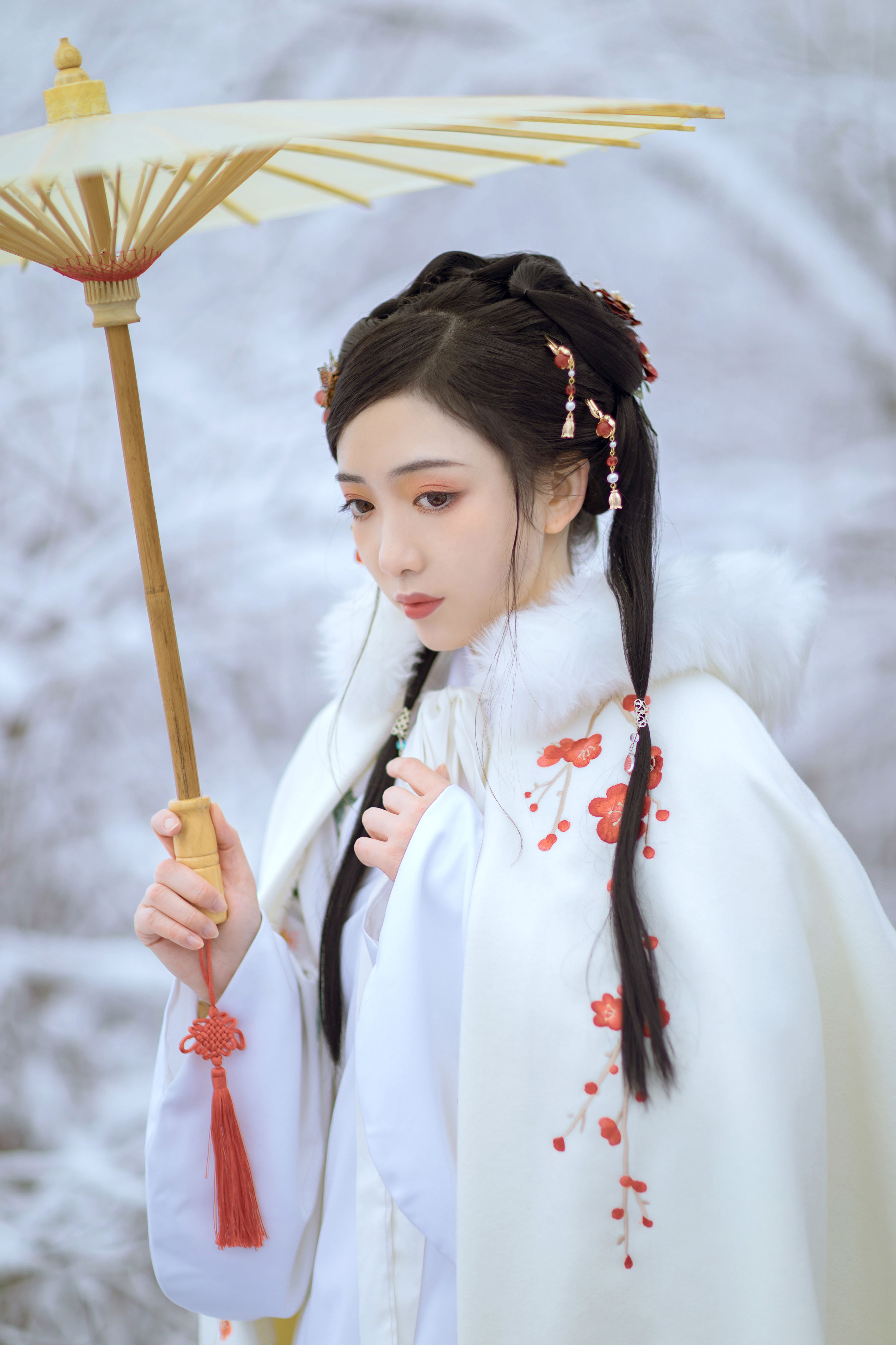 梅花香自苦寒来 冬天 雪景 汉服 花 少女