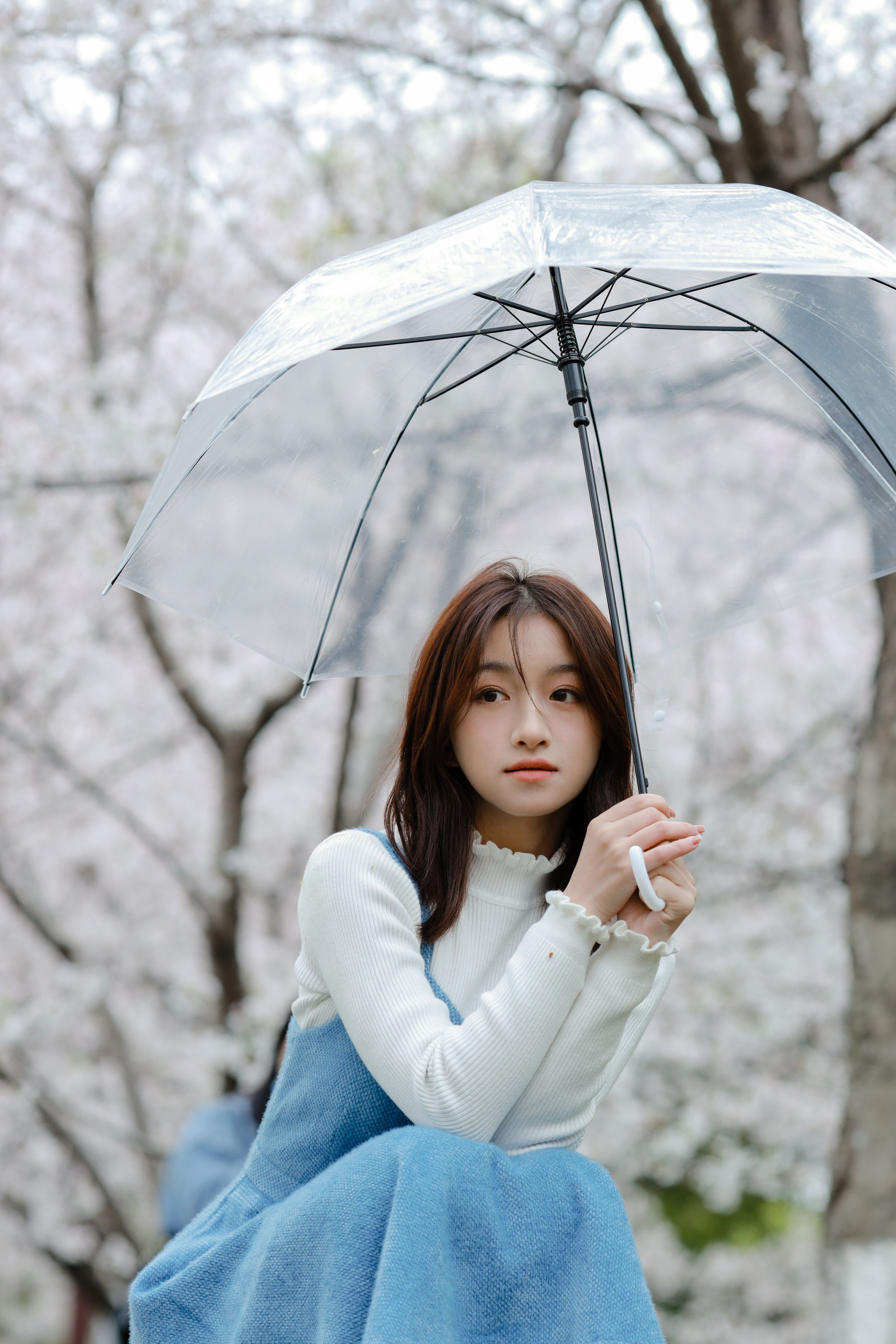 樱花物语 樱花 少女 小清新 清纯 写真 花