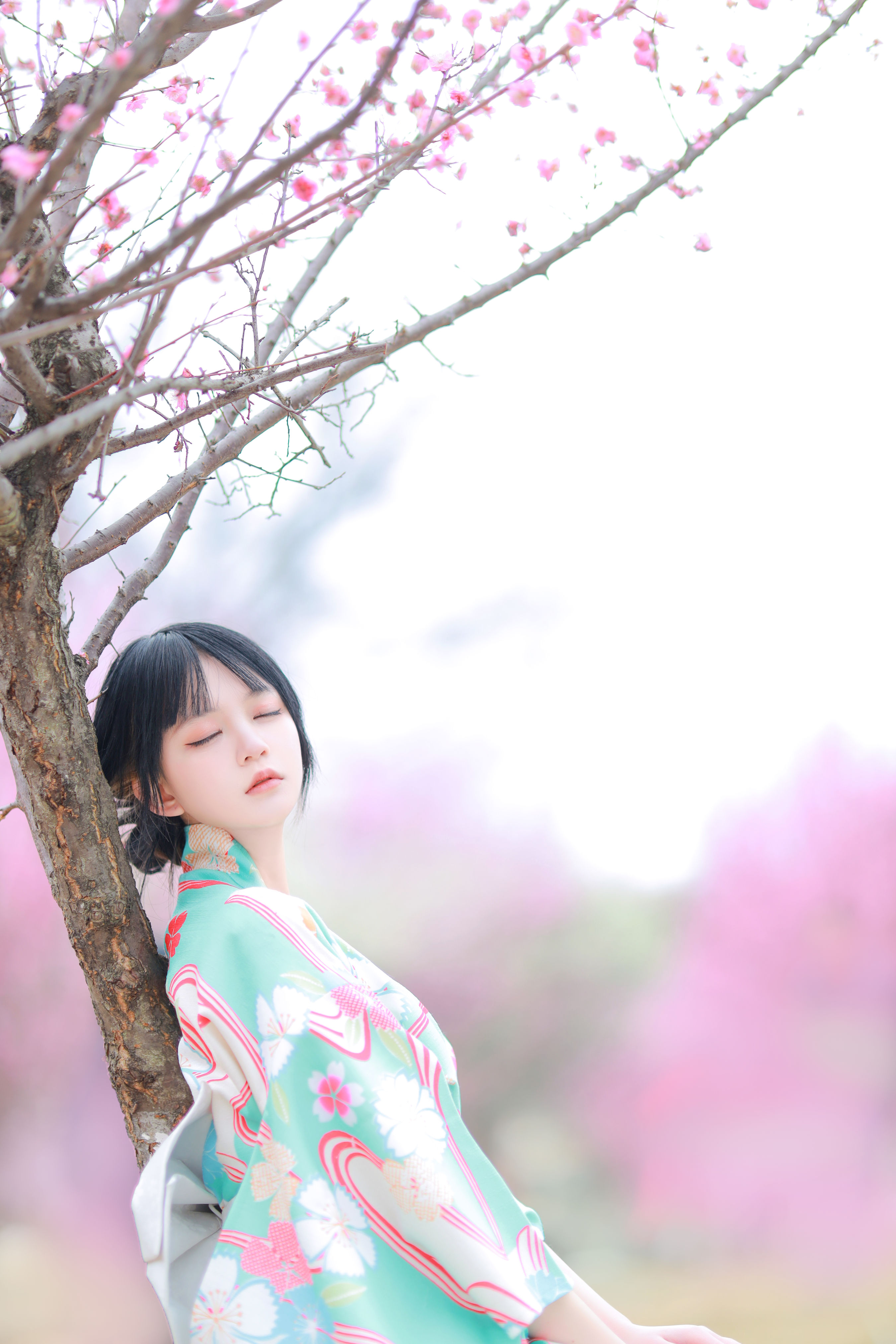 和服樱花 和服 樱花 妹子 写真 日系