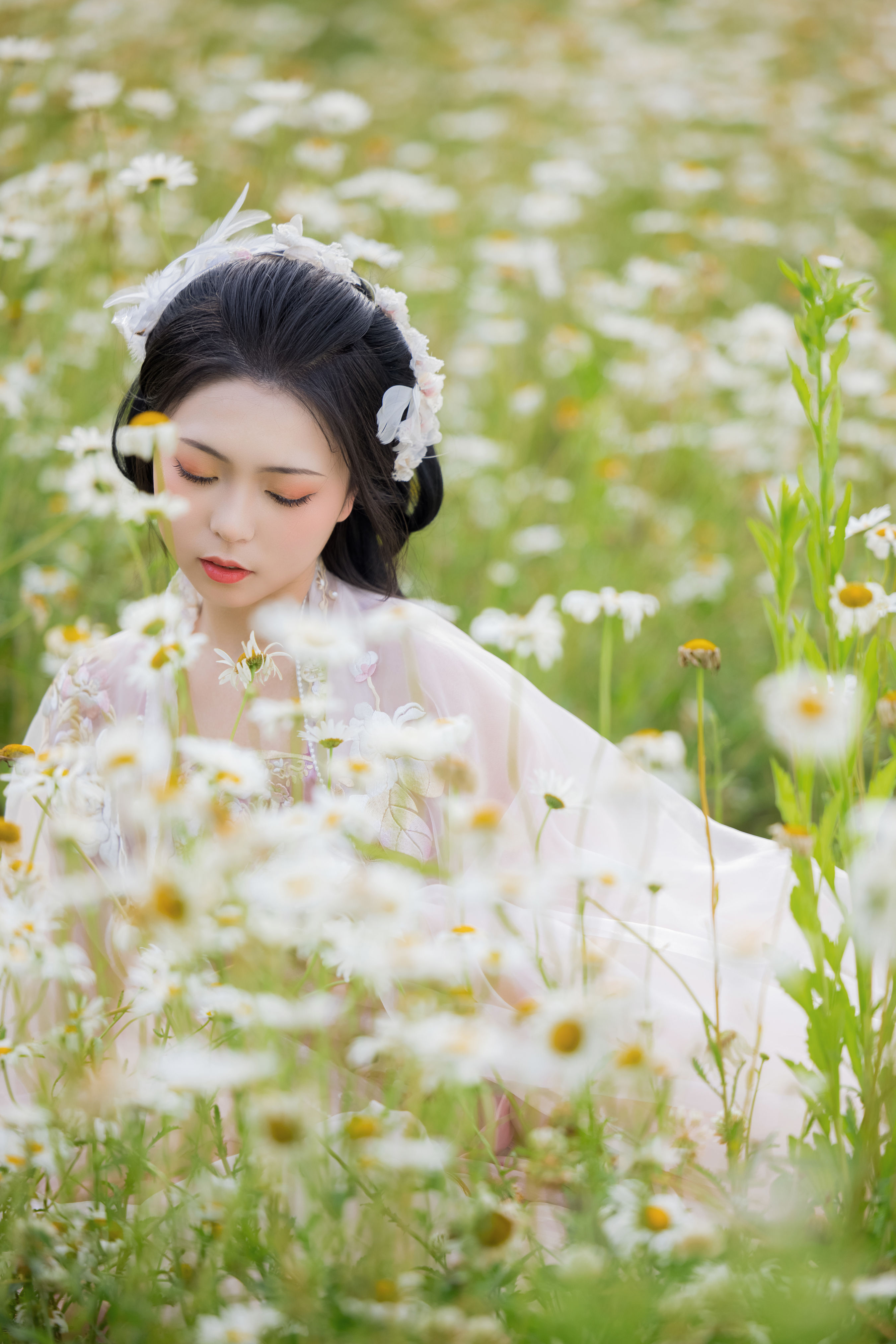 雏菊花海 汉服 古装 美人 小姐姐 花 温柔