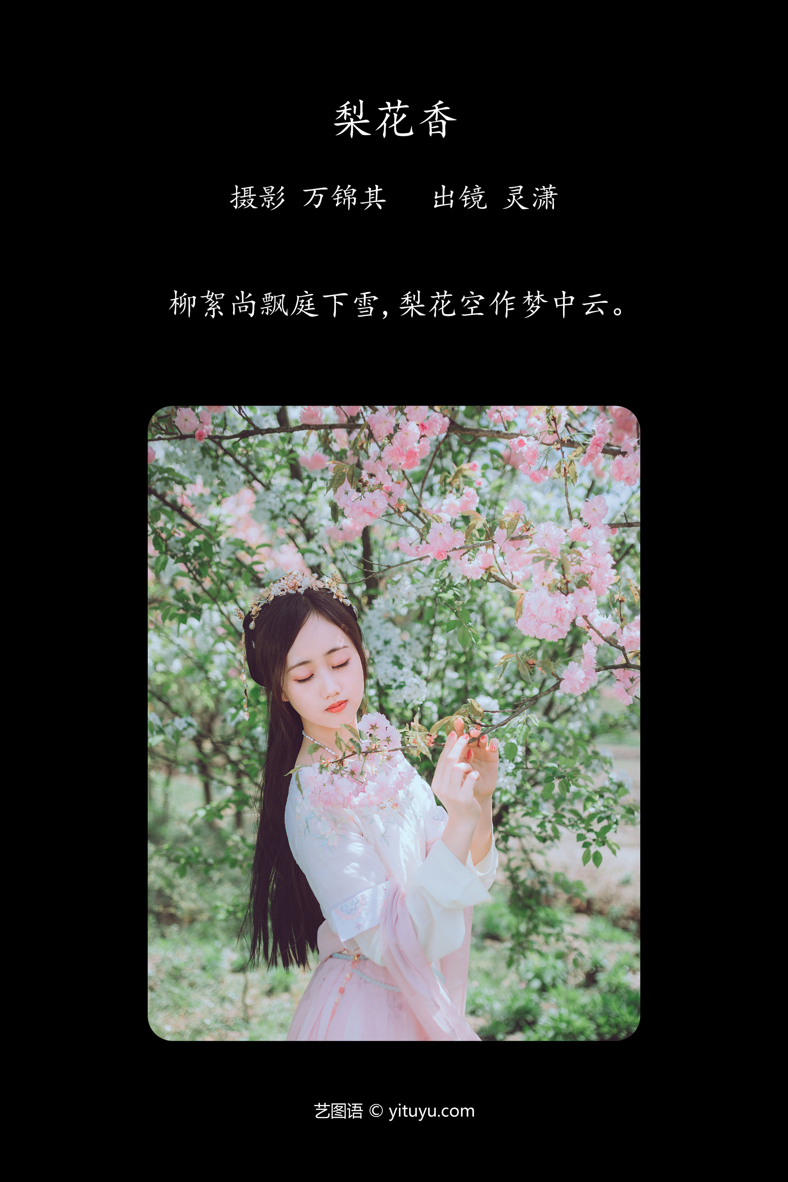 梨花香 小清新 小仙女 清纯 小姐姐 汉服 花