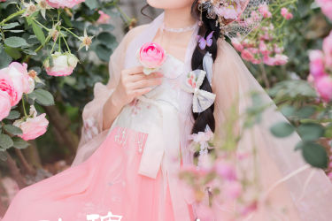 玫瑰少女 花 玫瑰花 少女 汉服 写真 美丽