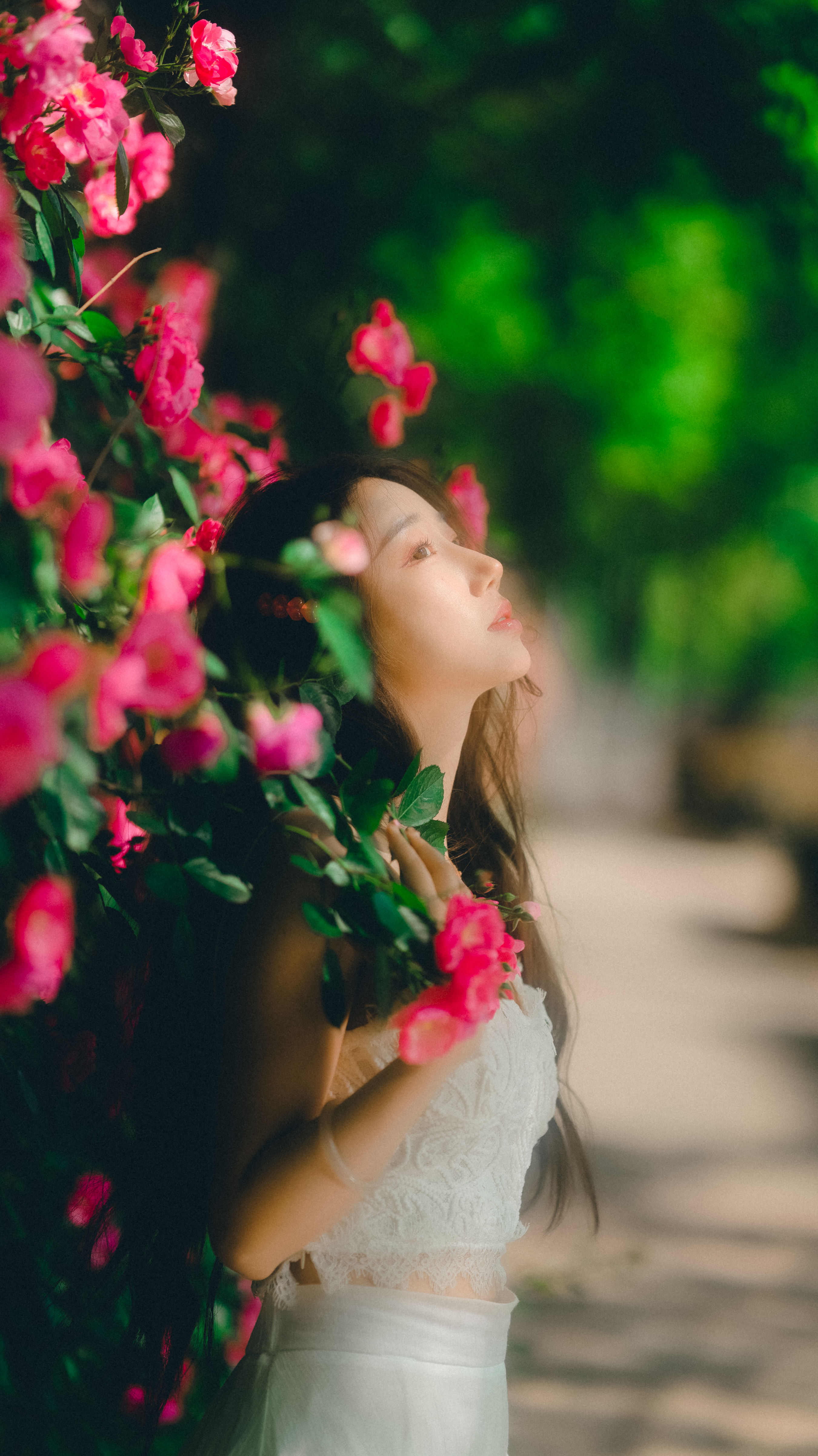 蔷薇花下 花 女神 美丽 精美 写真 优美