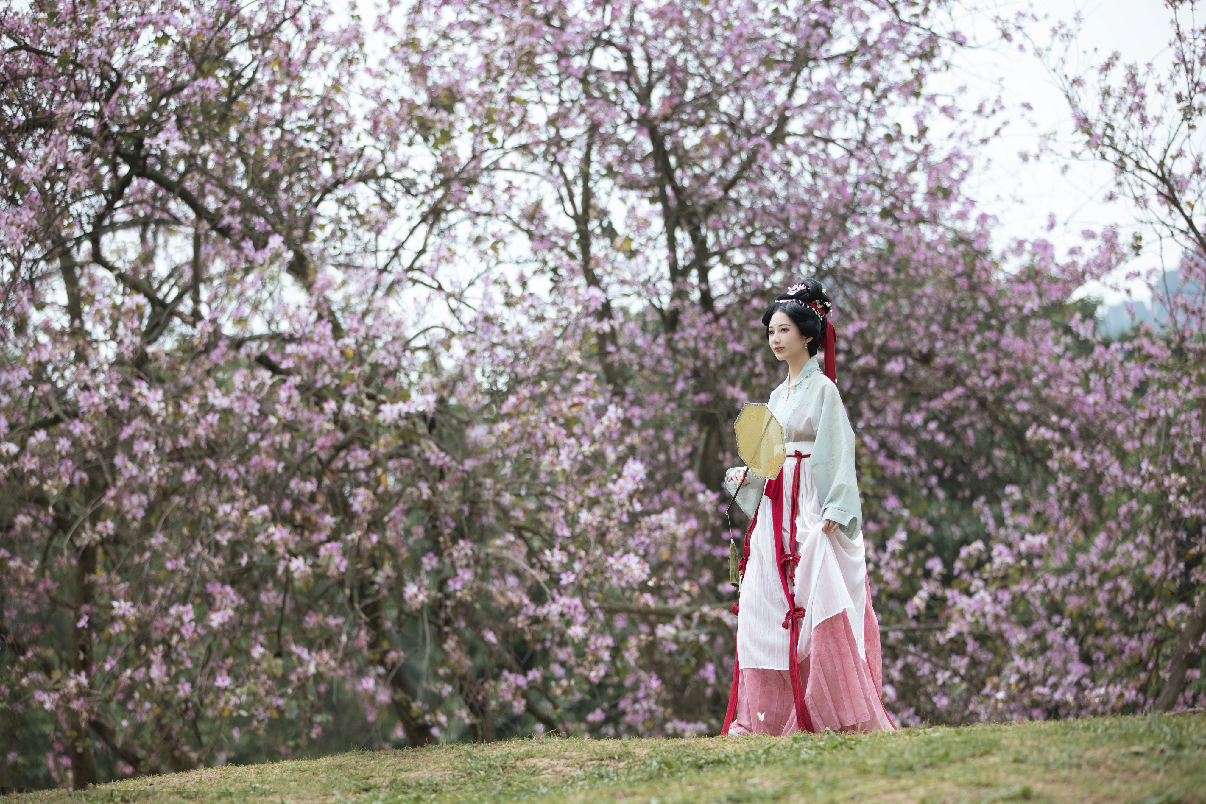 落花情 古装 树林 花 美人 小清新 优美 养眼 漂亮