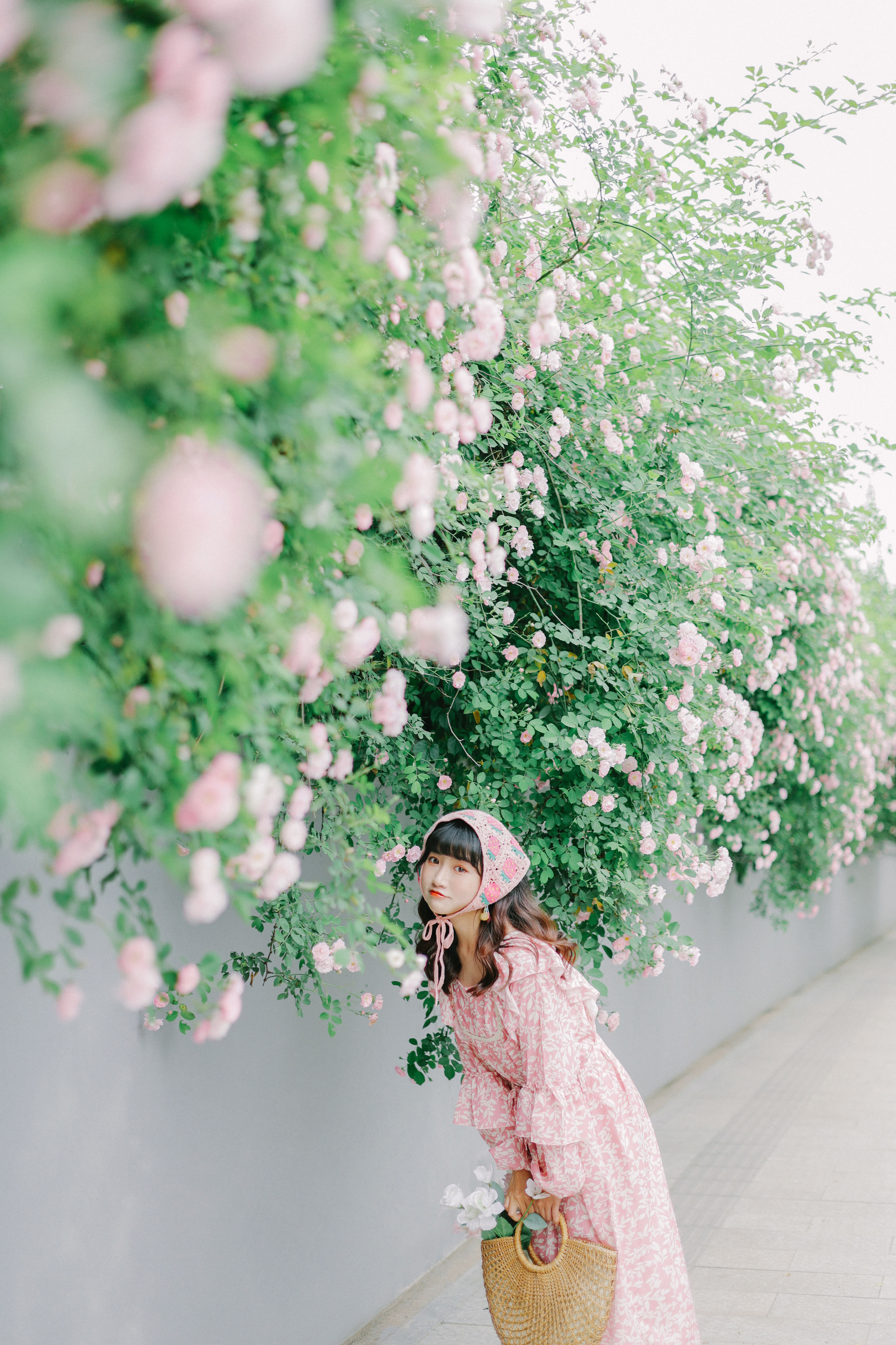 蔷薇花开的浪漫 清纯 浪漫 妹子 可爱 写真 花 蔷薇花