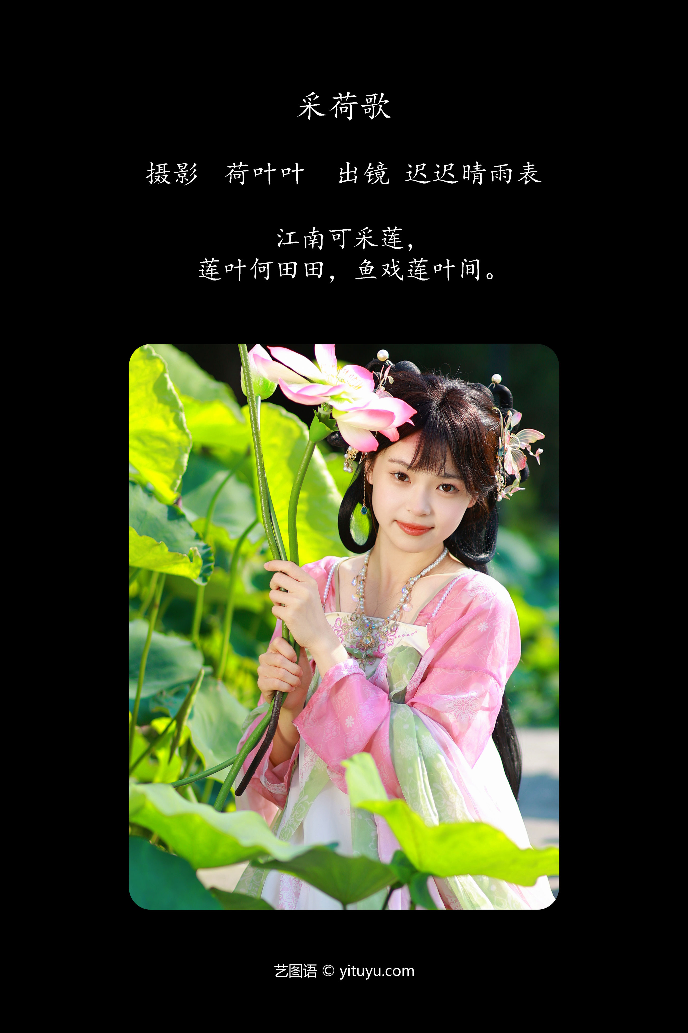 采荷歌 荷花 莲花 古装 汉服 美少女 小清新 可爱