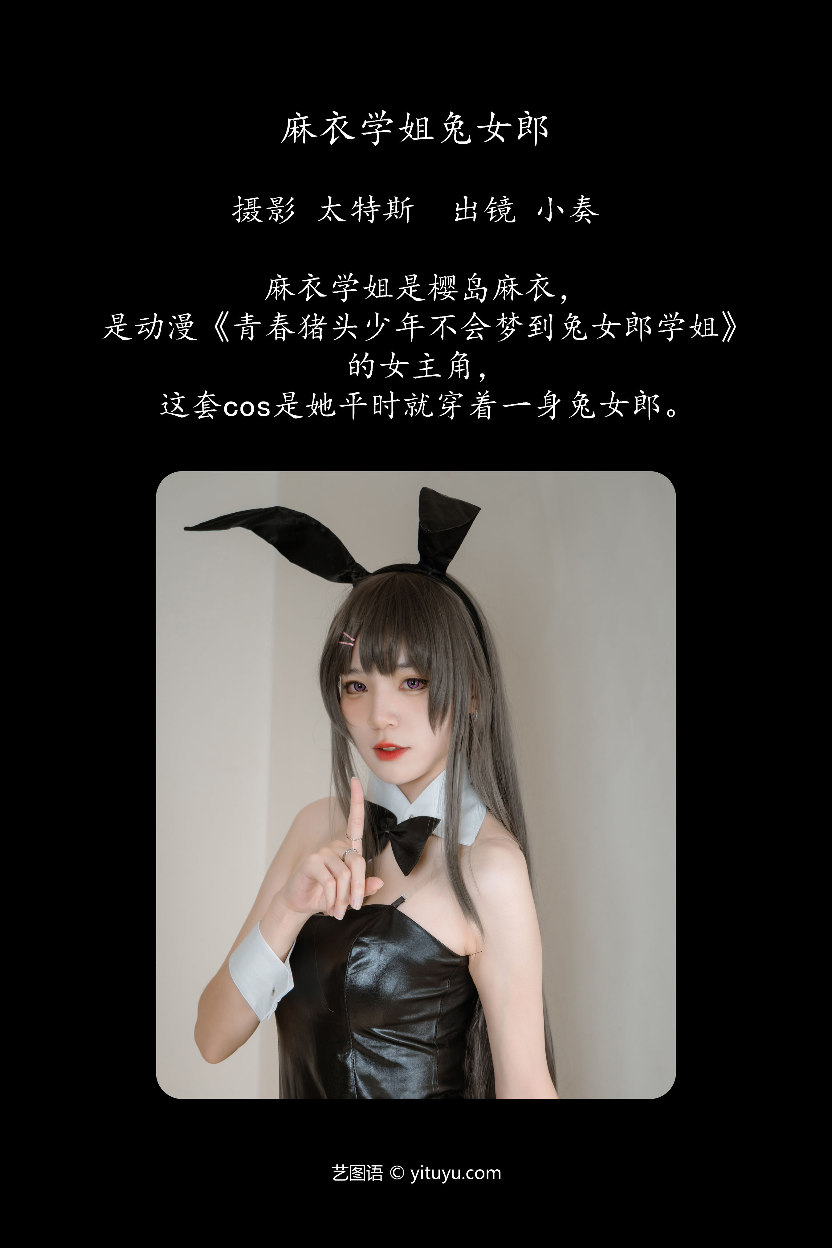 麻衣学姐兔女郎 兔女郎 二次元 写真 Cosplay 制服