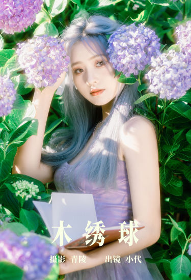 木绣球 小清新 少女 精美 养眼 花 绣球花 夏天