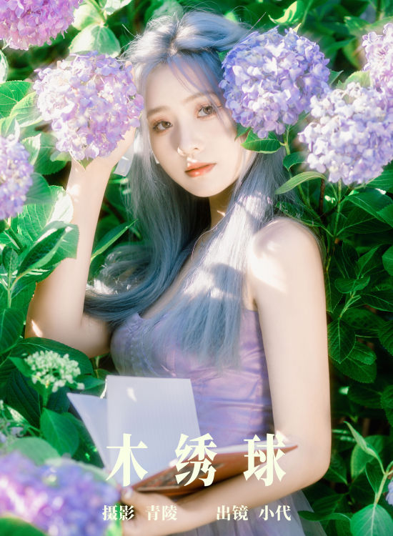 木绣球 小清新 少女 精美 养眼 花 绣球花 夏天