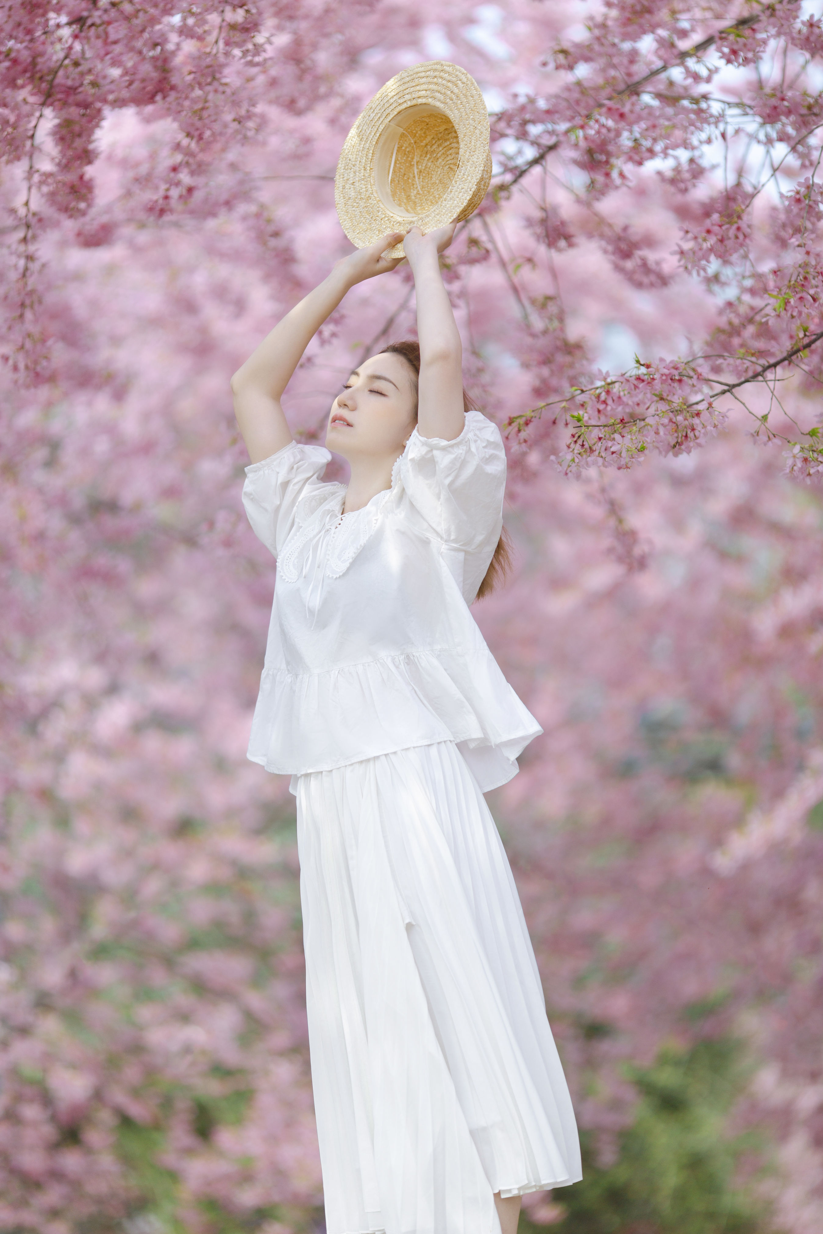 春日樱 樱花 少女 女生 浪漫 清纯