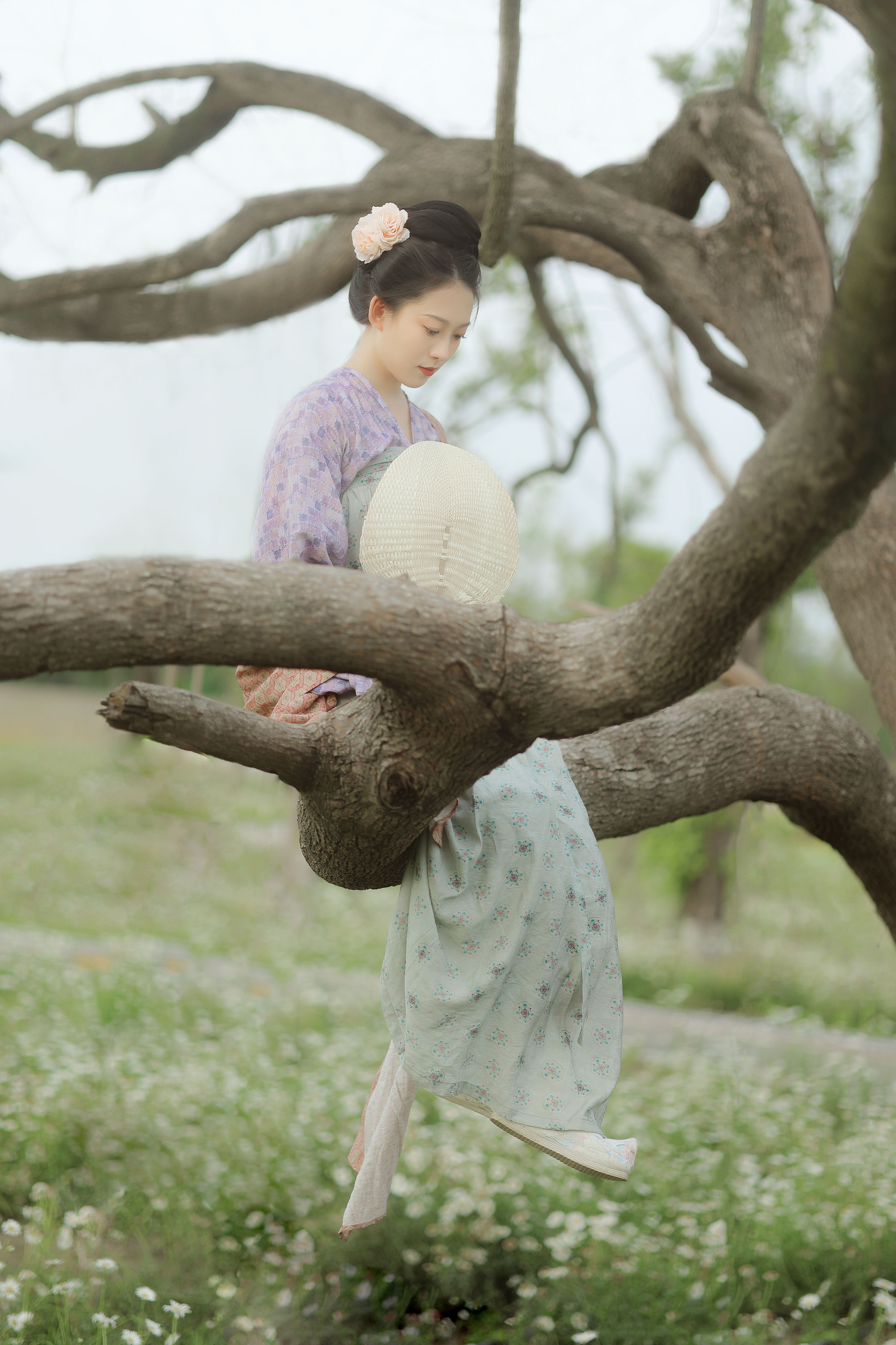 小雏菊 汉服 小姐姐 美人 模特 古风 美图 唯美 小清新 养眼