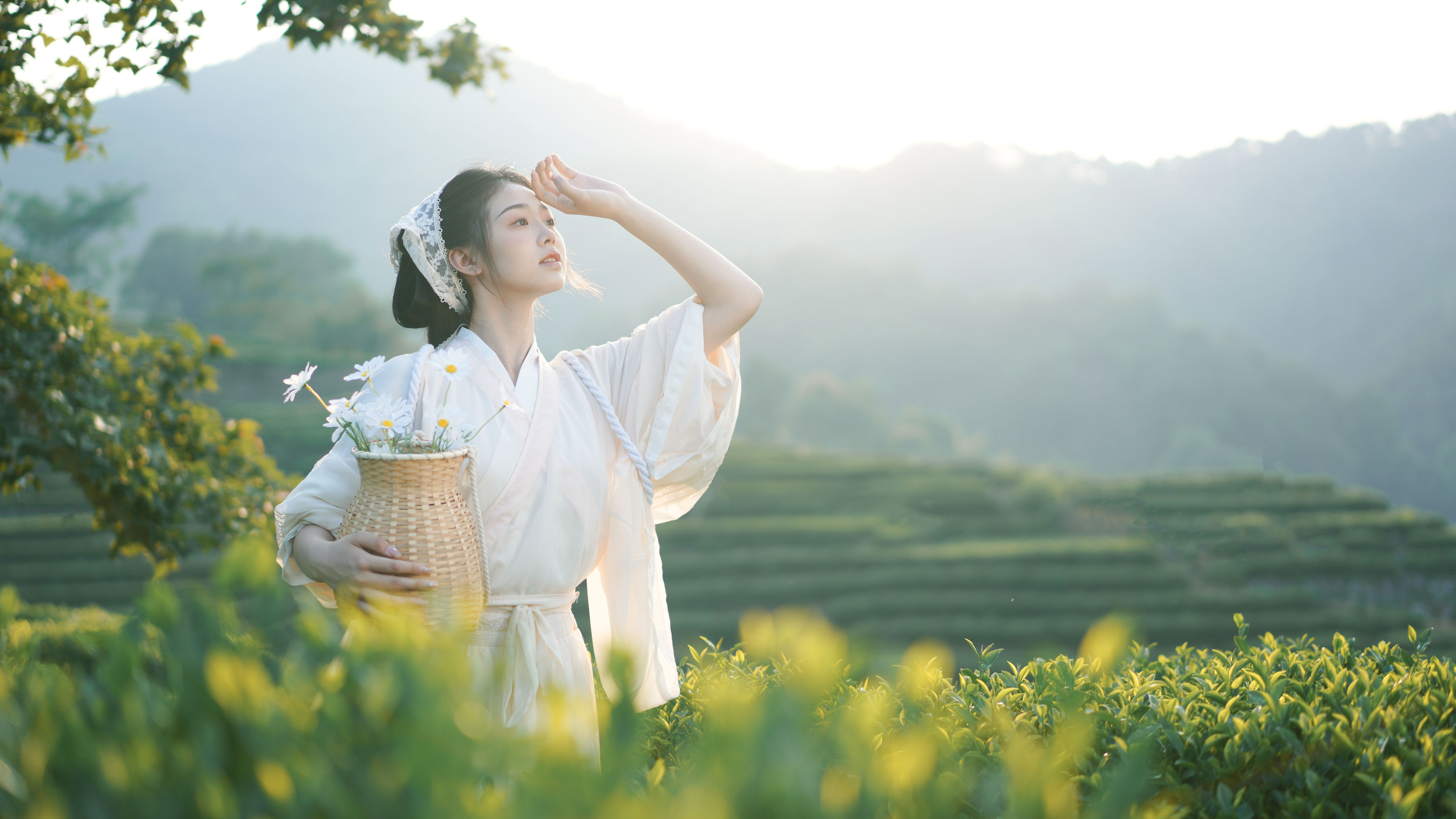 茶山 小清新 古风 清纯 少女 禅意 意境 优美 姑娘 绿色