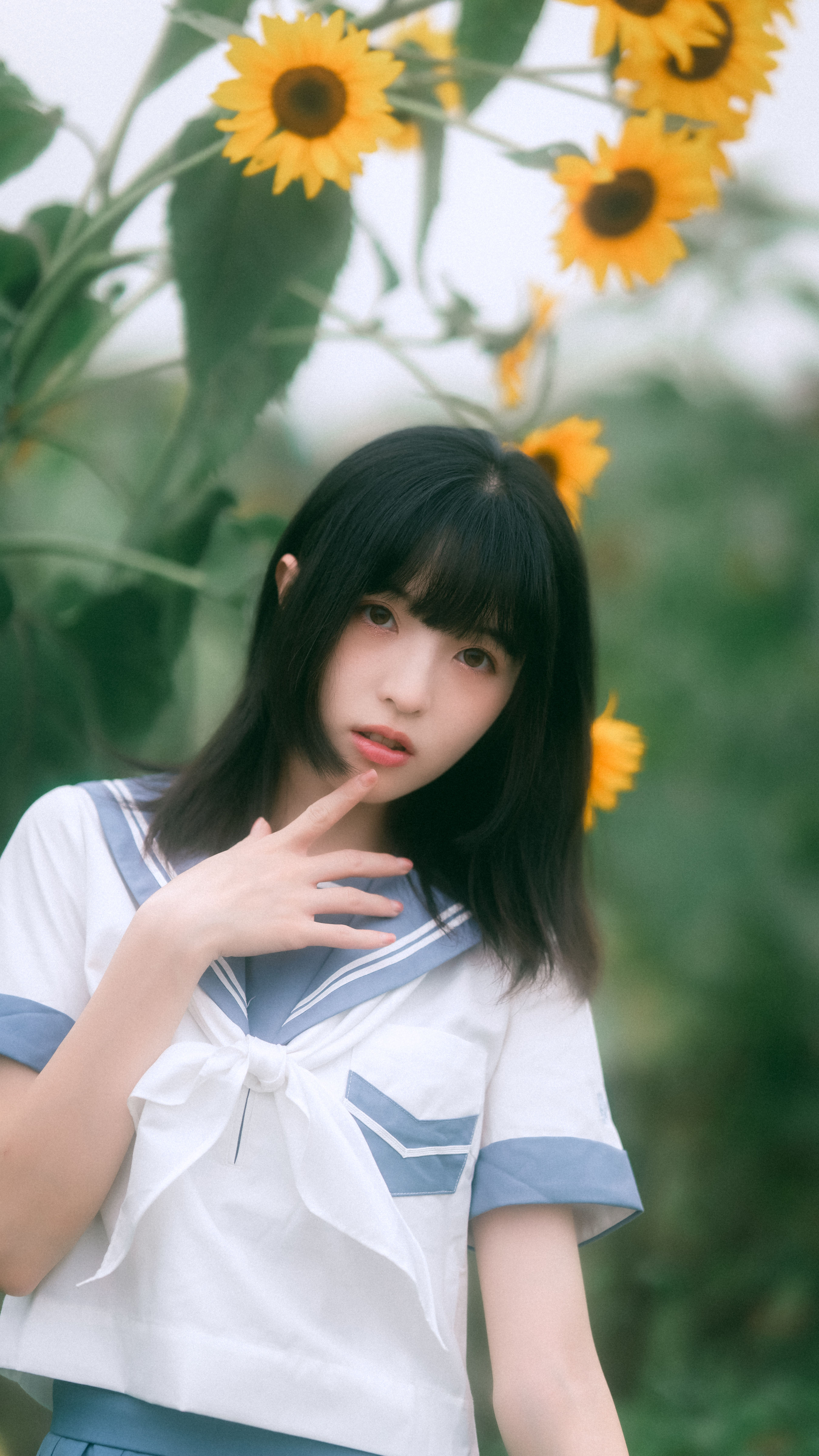 小贝的夏天 向日葵 JK 女生 小清新 美少女 可爱 夏天