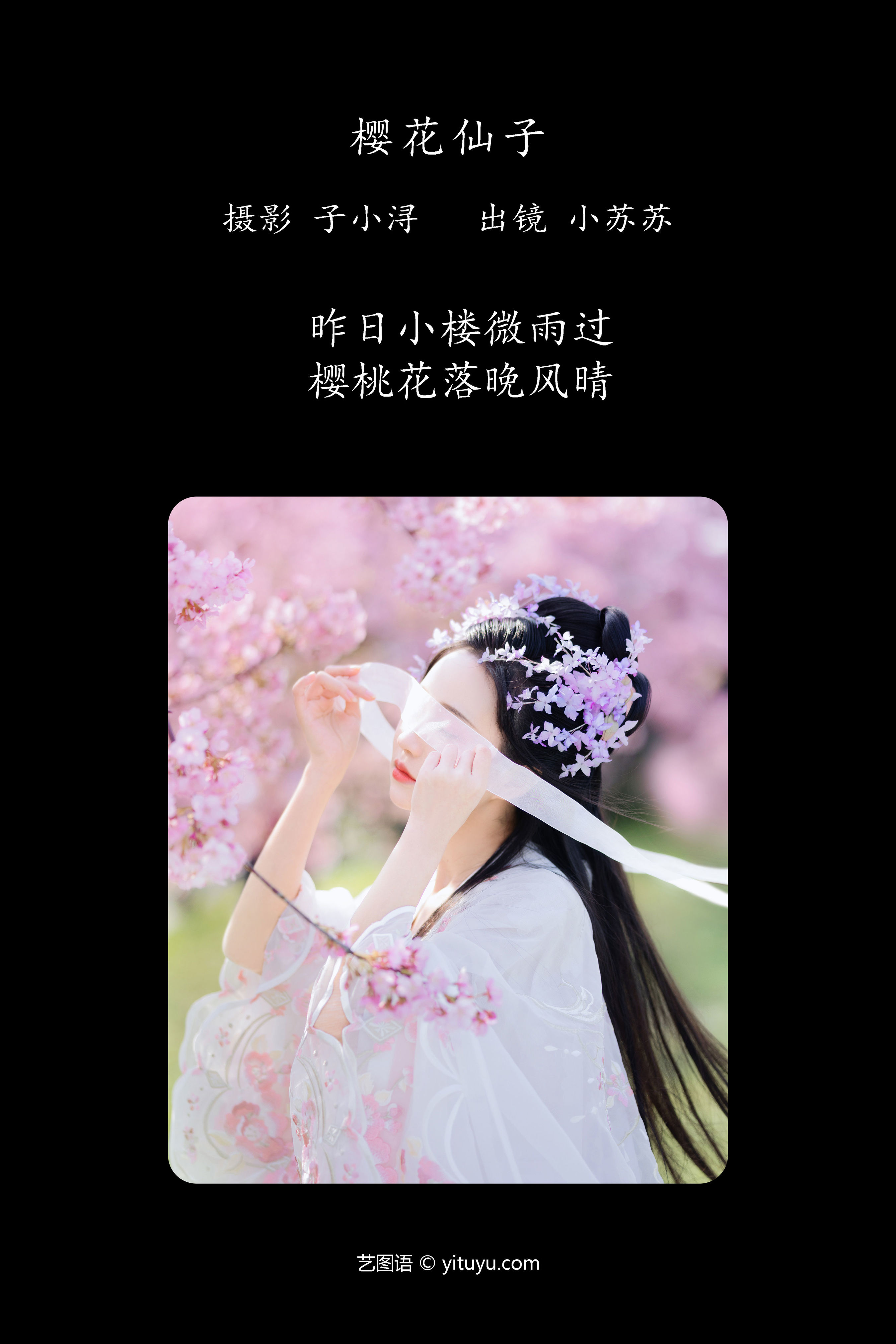 樱花仙子 樱花 小仙女 古风 美人 小姐姐 花 精美 汉服