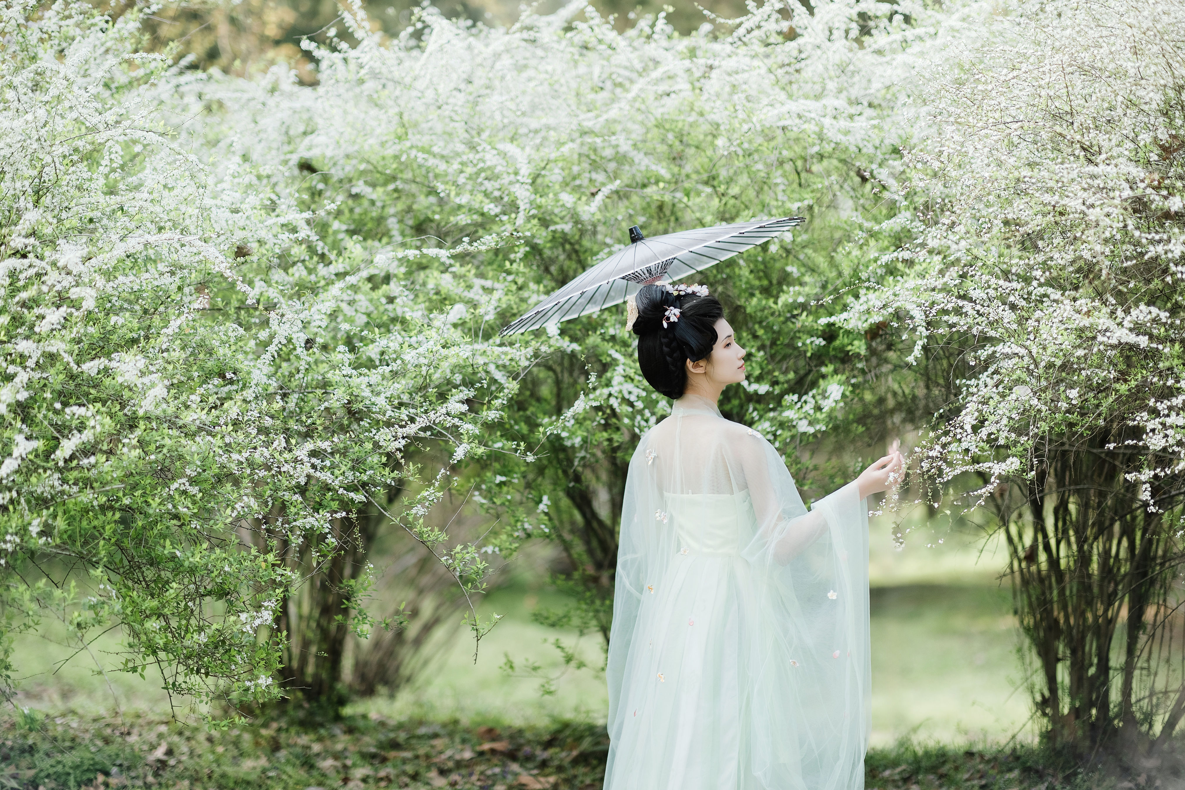 花依然 花 精美 小清新 美人 漂亮