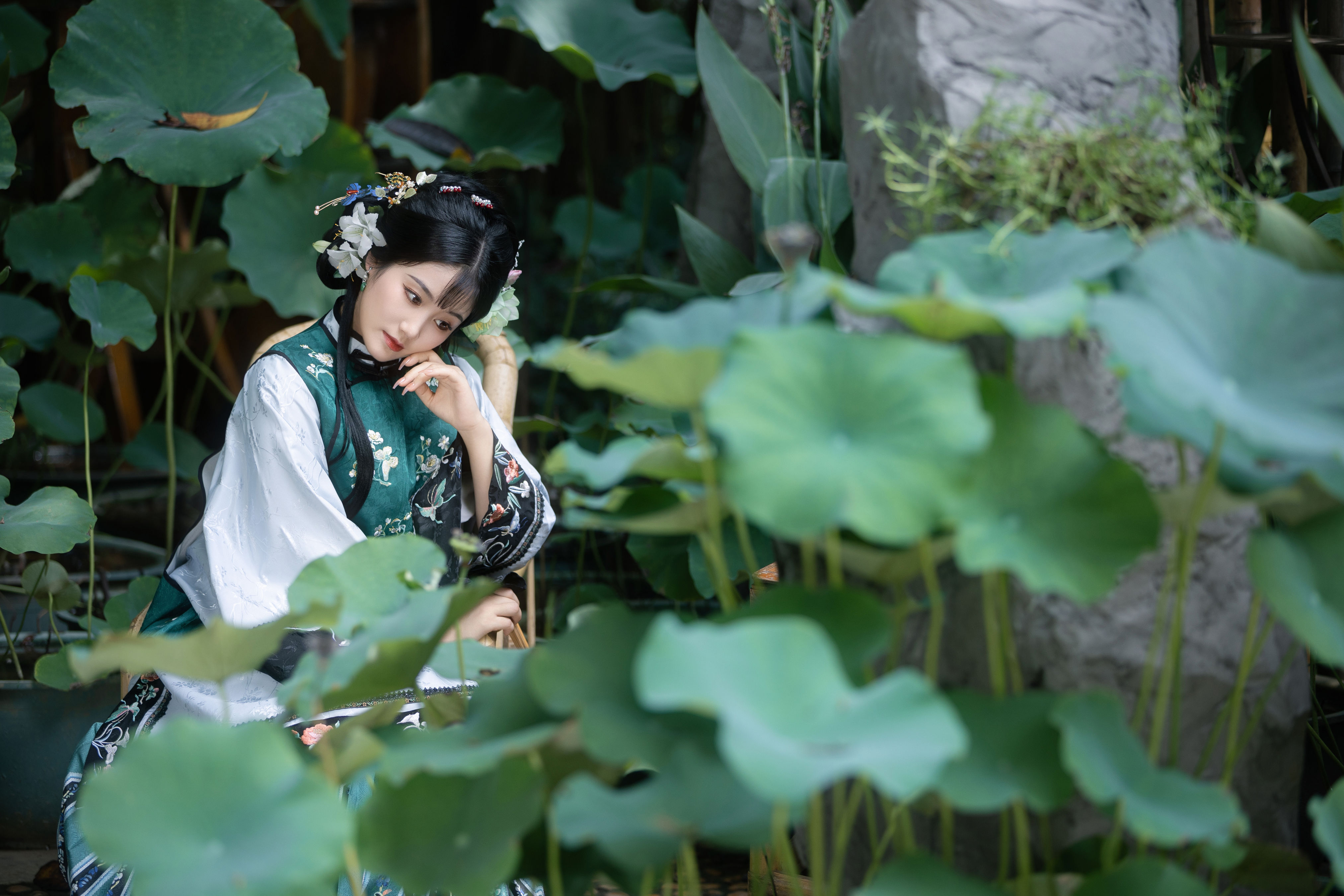 风举荷 古装 绿色 荷花 女子 古代