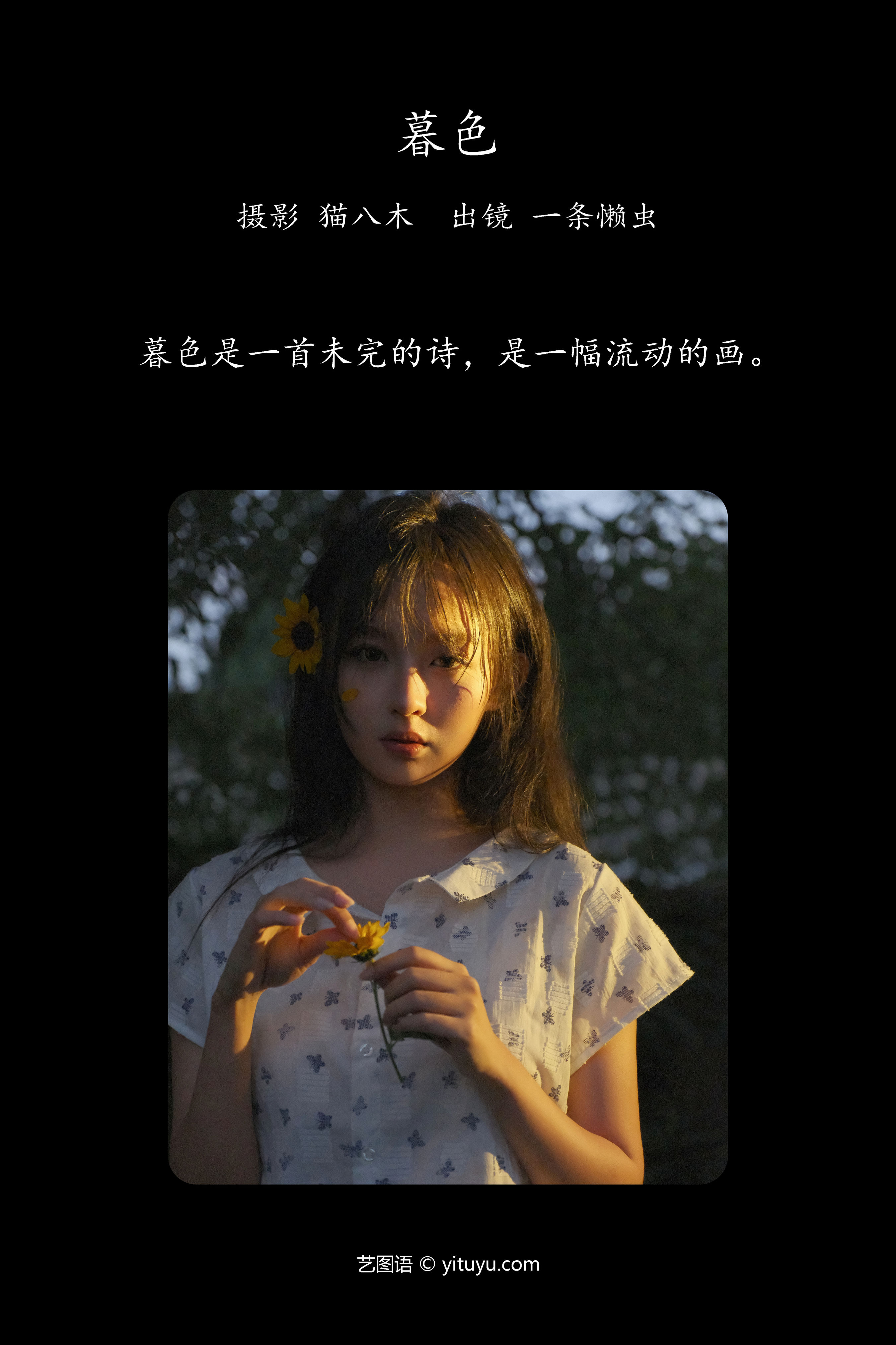 暮色 向日葵 唯美 色彩 模特 小清新 女神