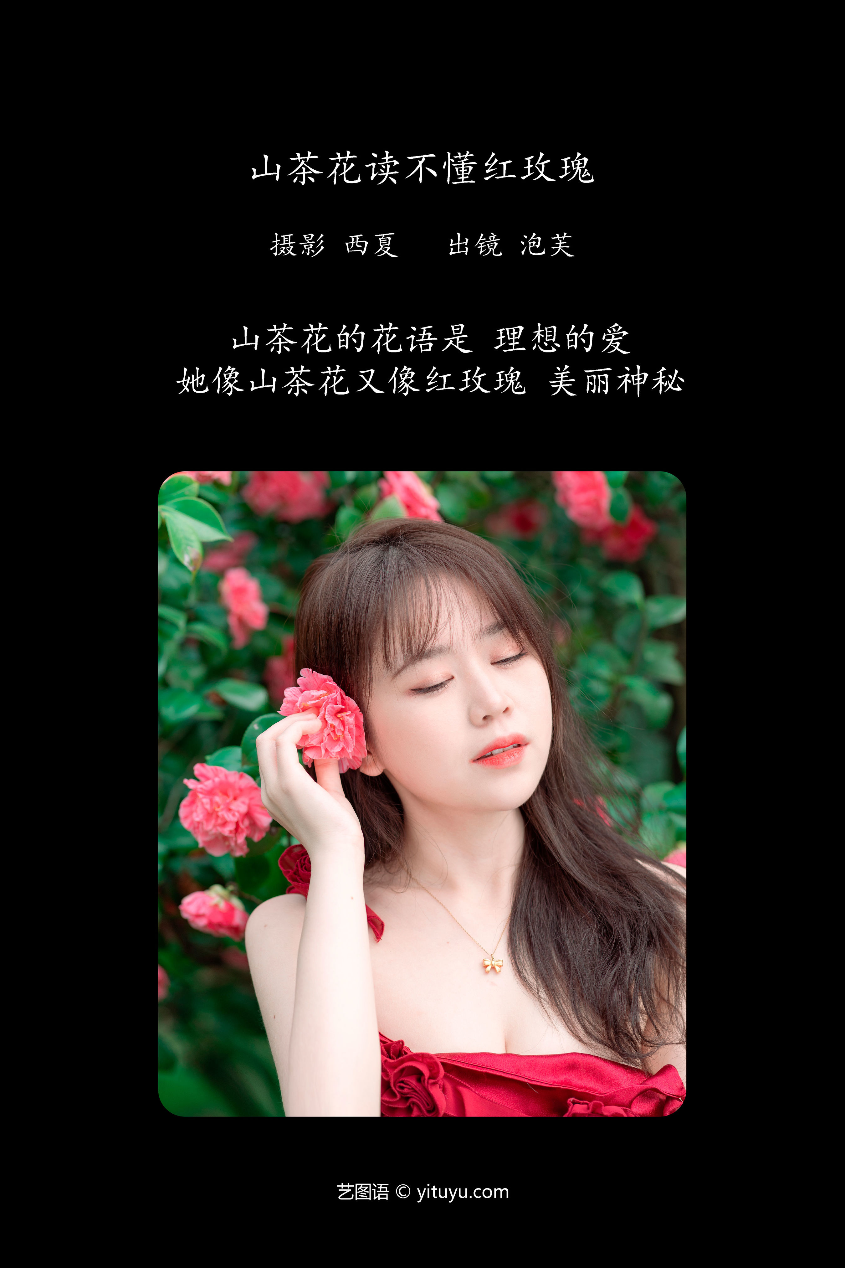 山茶花读不懂红玫瑰 花 小姐姐 模特 美女 山茶花