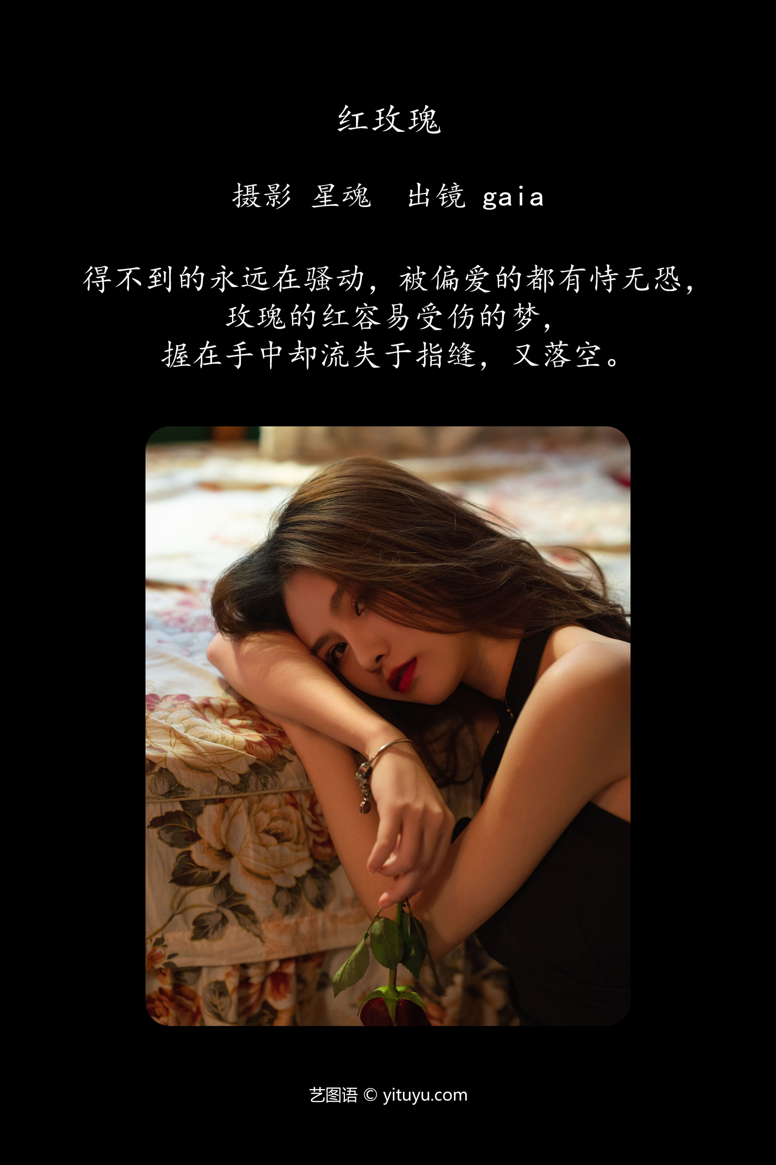 红玫瑰 模特 美女 玫瑰花 性感 私房照