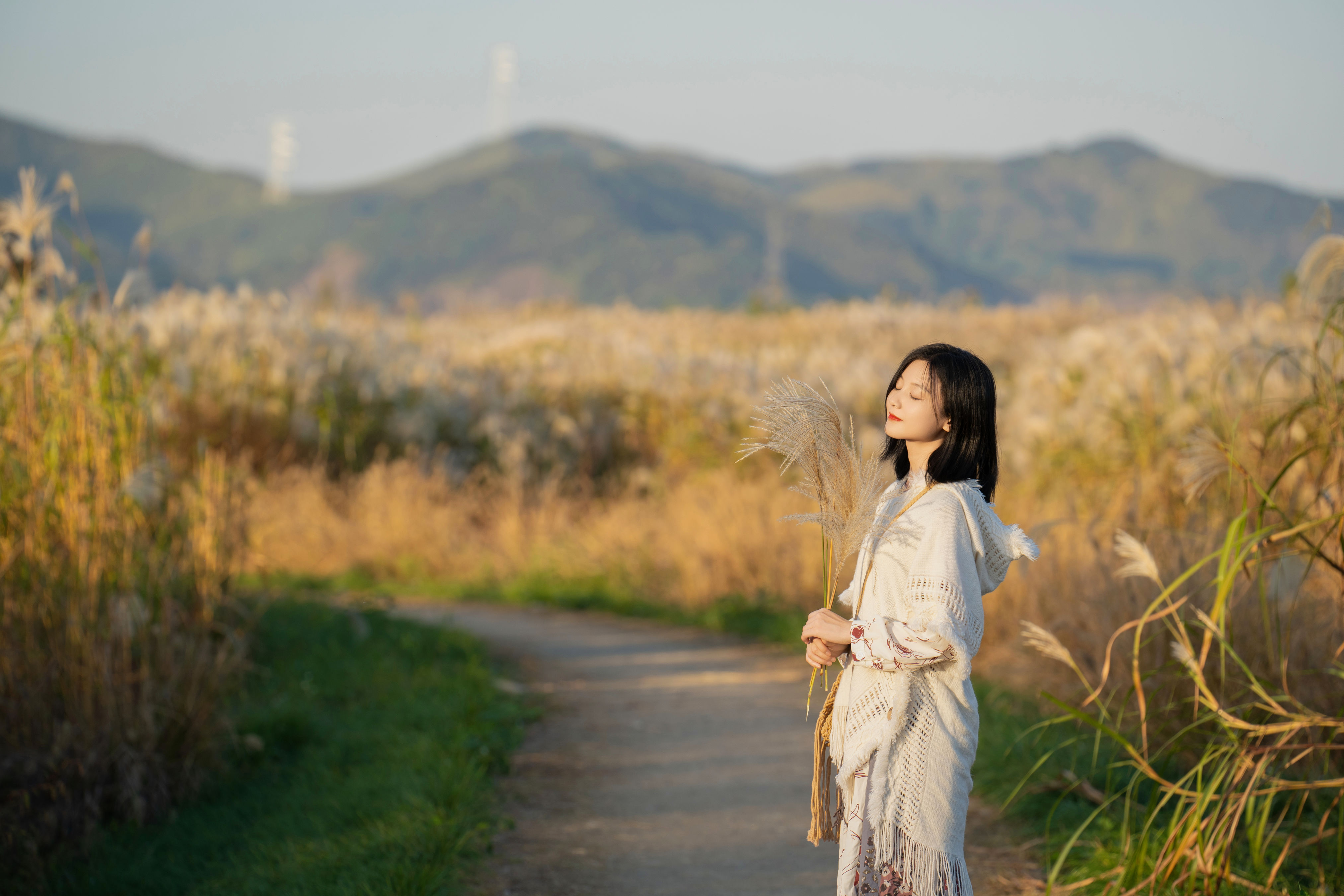 芦苇荡中的秋意 秋日 摄影 人像 夕阳 妹子