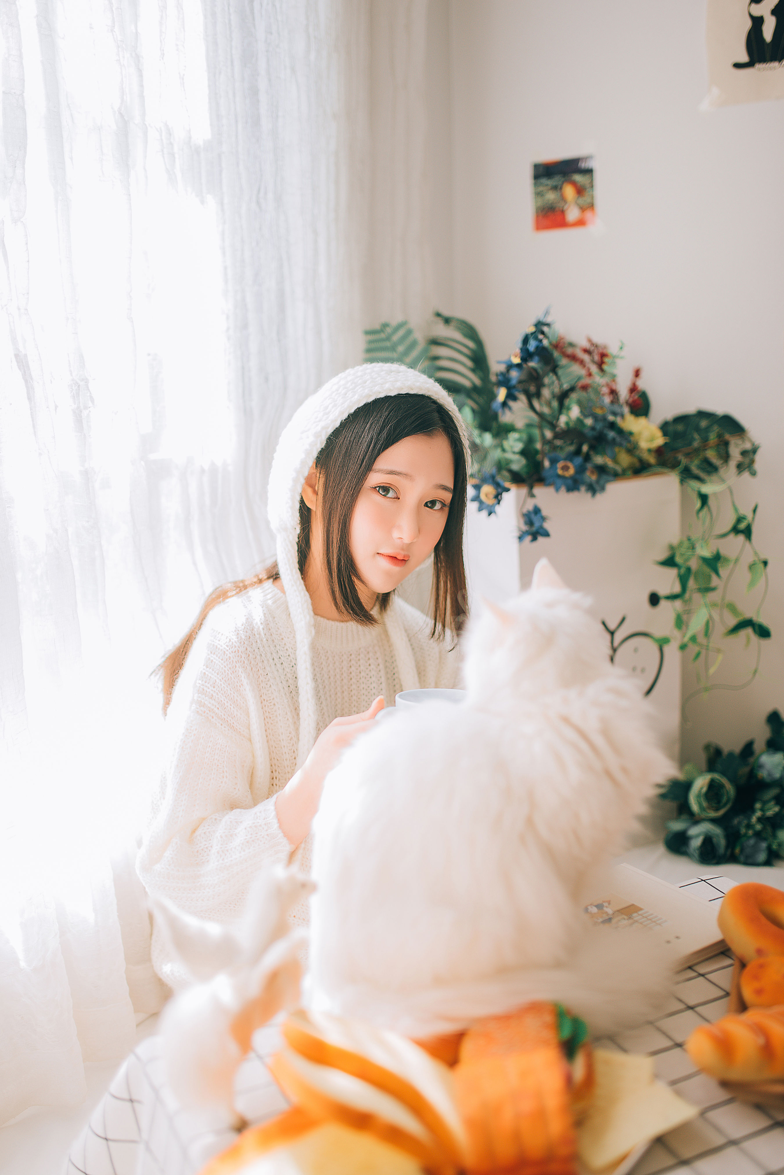 阳光温暖，小猫温柔 温柔 少女 模特 写真 妹子 女神