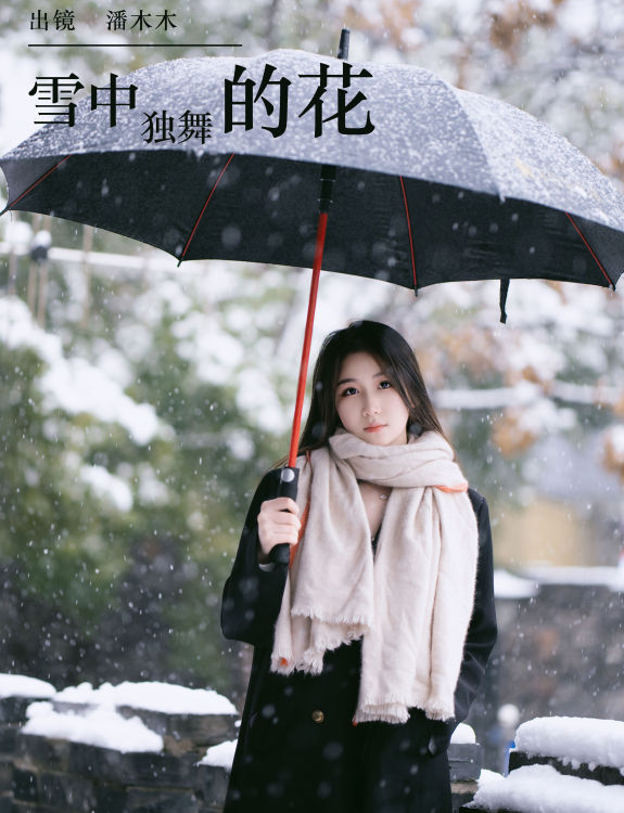 雪中独舞的花 雪景 冬天 小姐姐 美女 精美