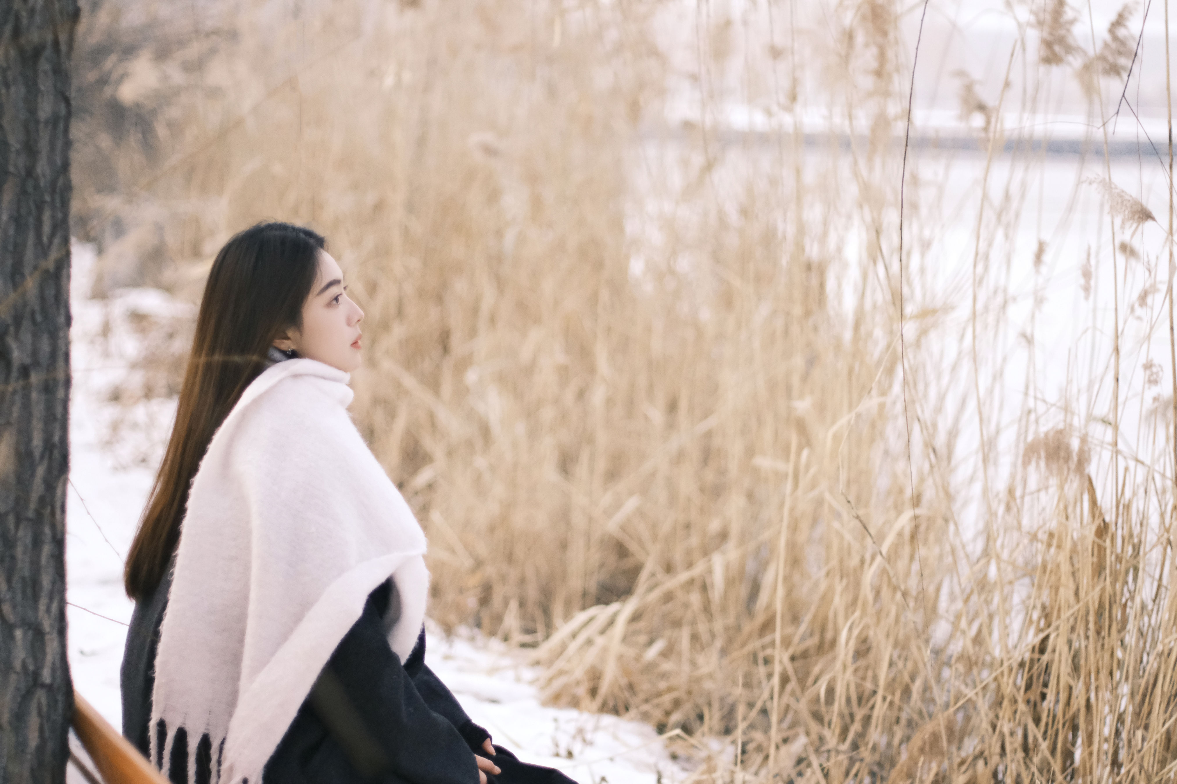 雪天情书 女神 写真 美女 冬天 雪景