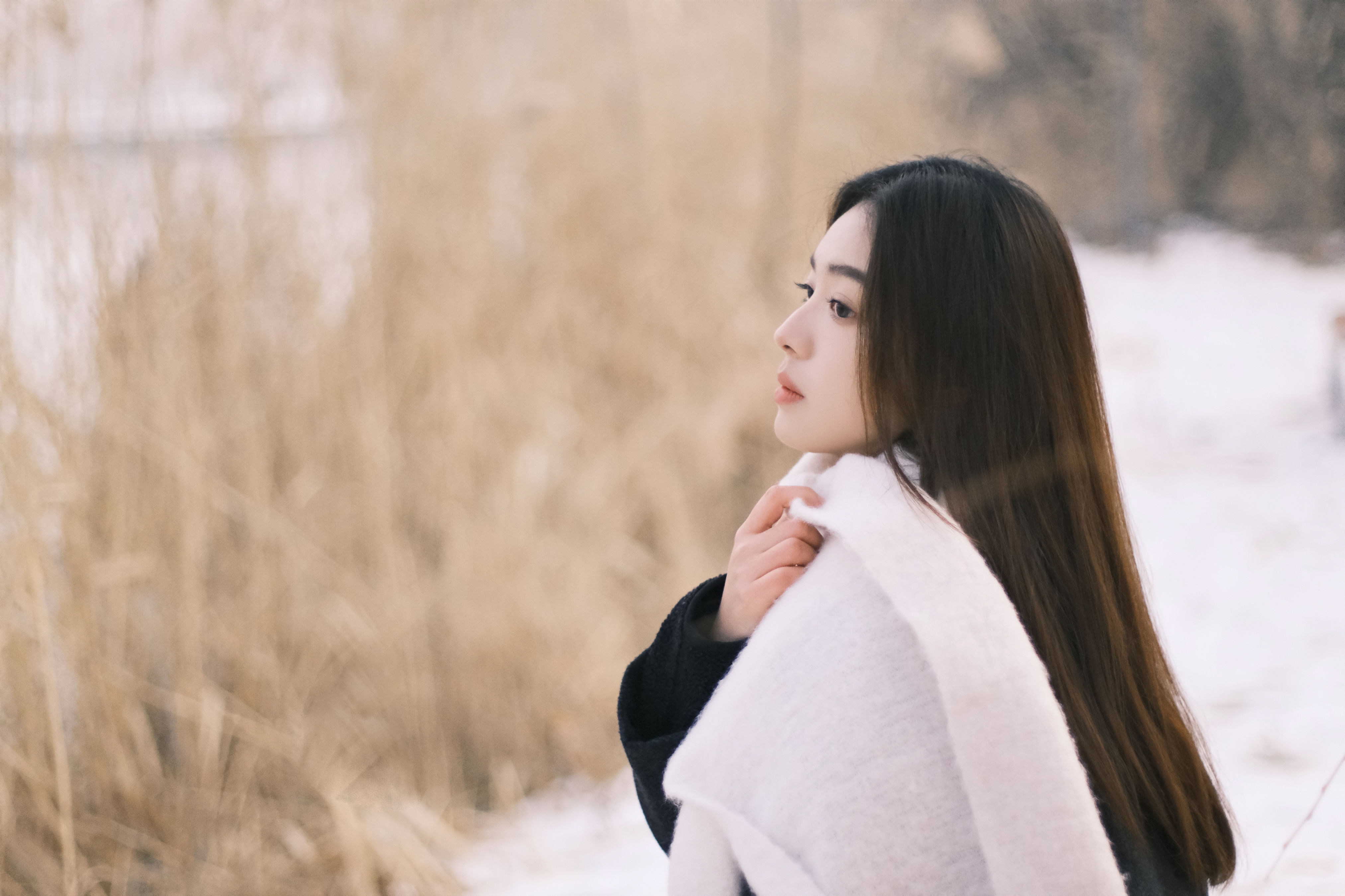 雪天情书 女神 写真 美女 冬天 雪景