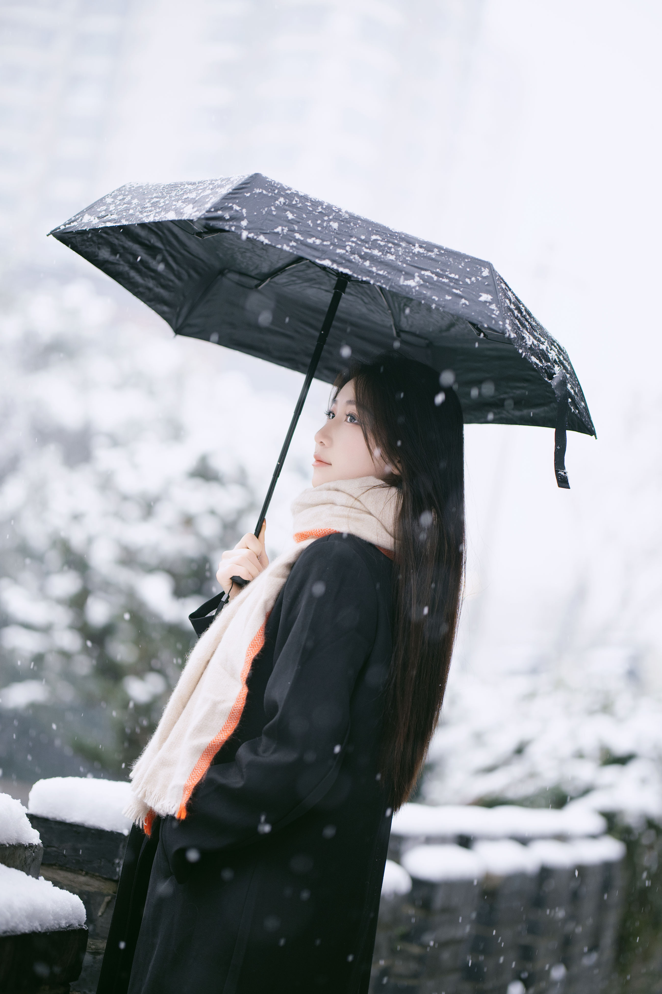 雪中独舞的花 雪景 冬天 小姐姐 美女 精美