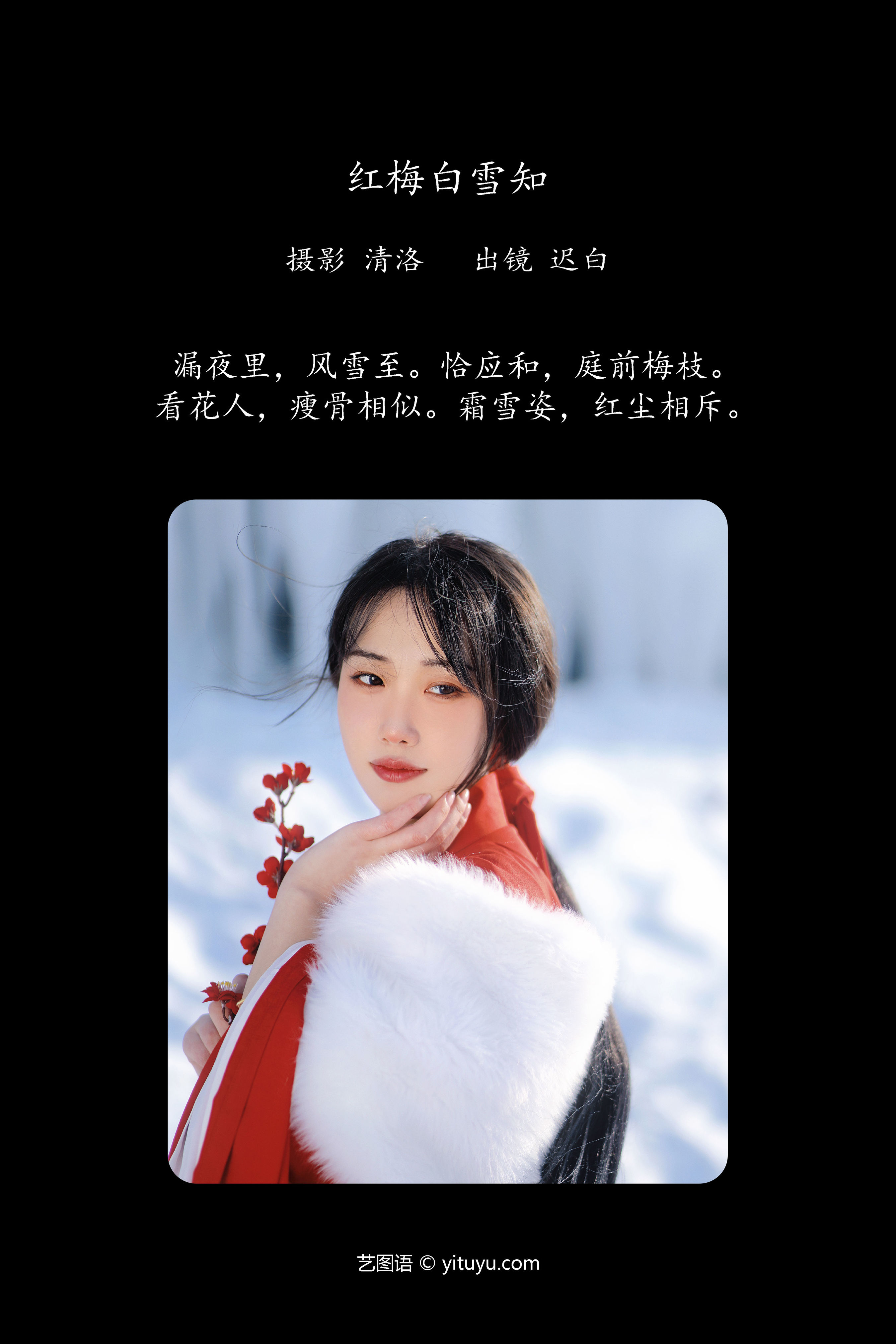 红梅白雪知 冬天 雪景 美人 红色 梅花