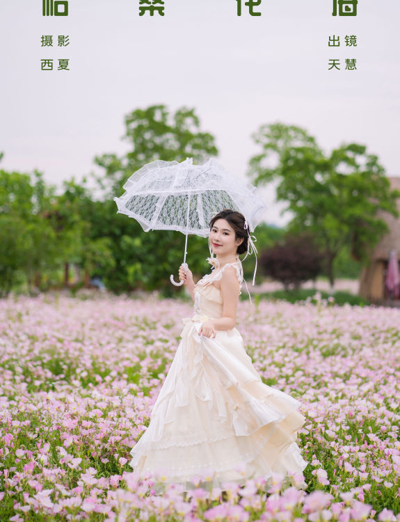 格桑花海 浪漫 花 色彩 写真 清纯 妹子