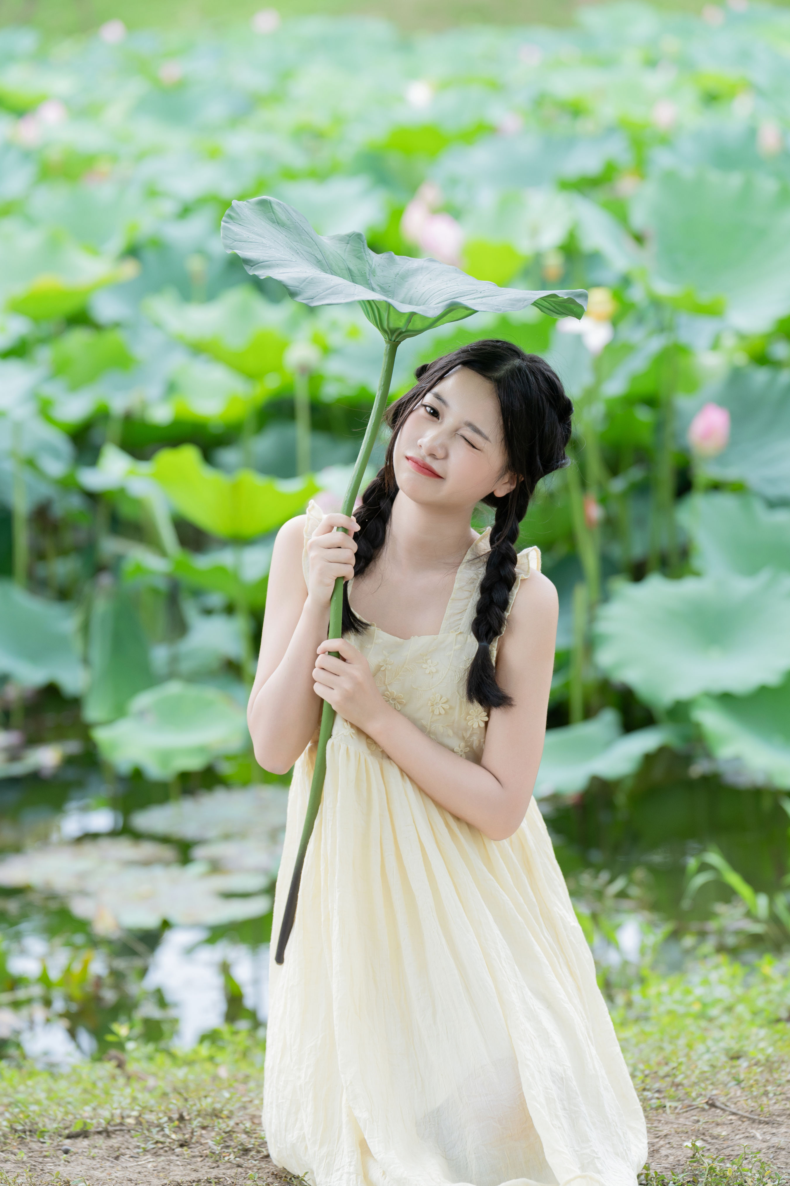 炎炎夏日 荷花少女 夏日 荷花 少女 可爱 姑娘