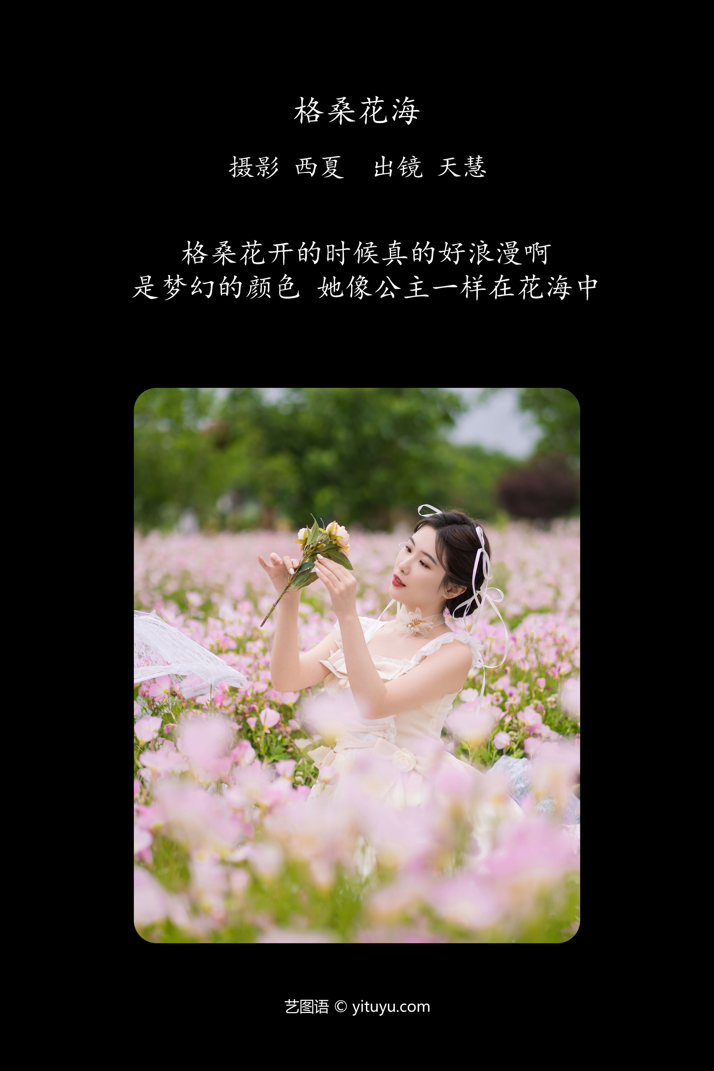 格桑花海 浪漫 花 色彩 写真 清纯 妹子