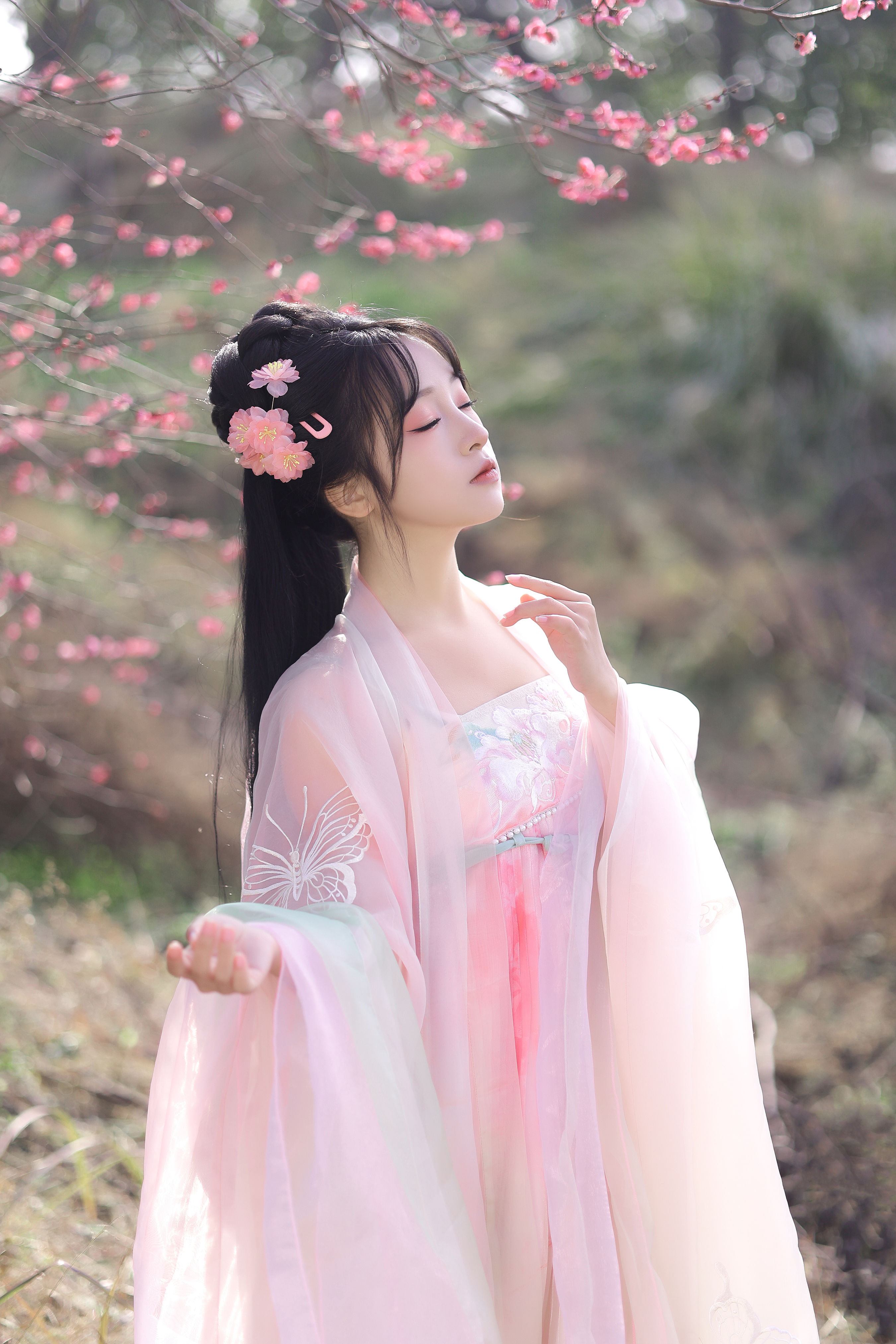 春樱 樱花 春天 汉服 少女 唯美