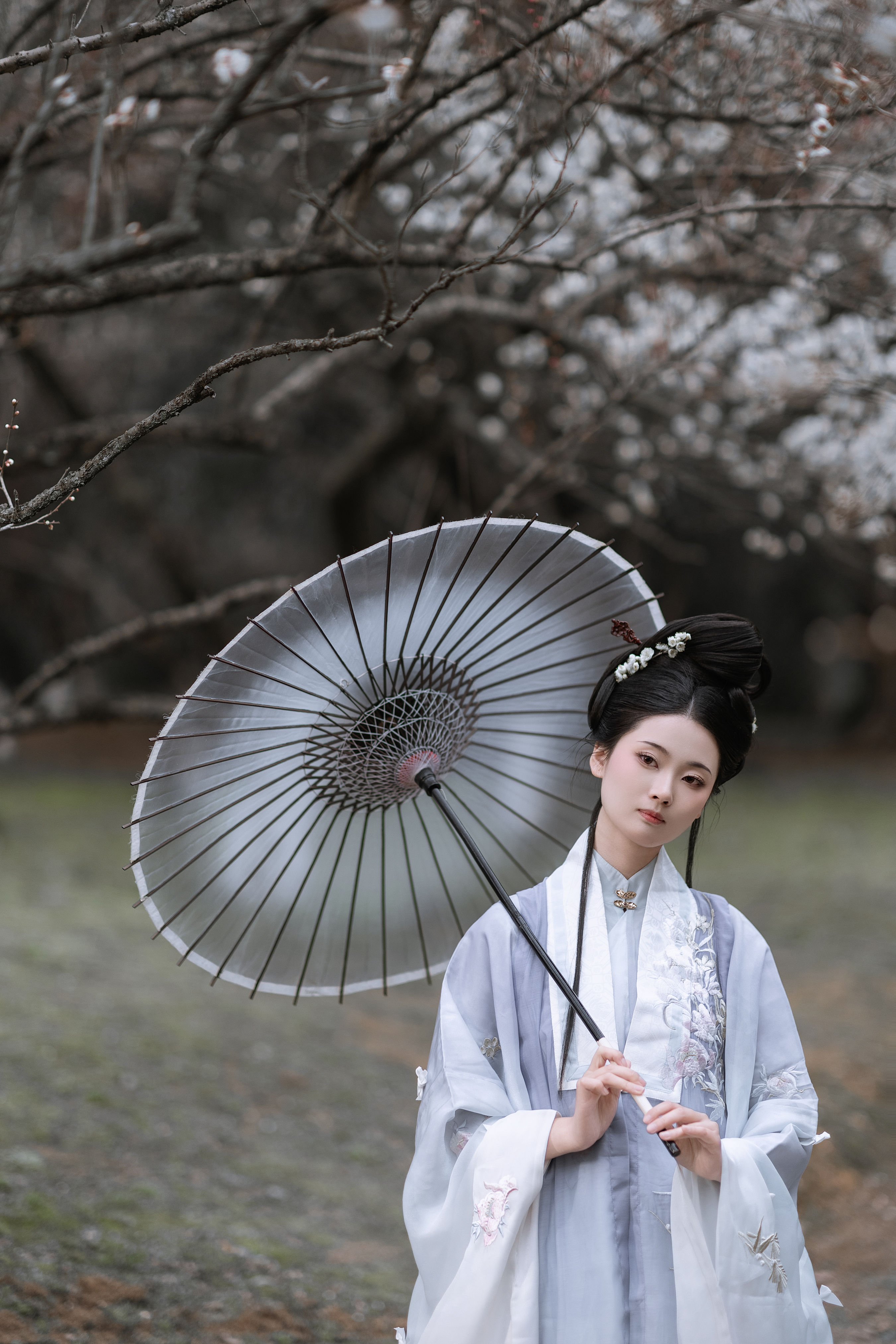 问梅 梅花 古风 意境 美人 清冷