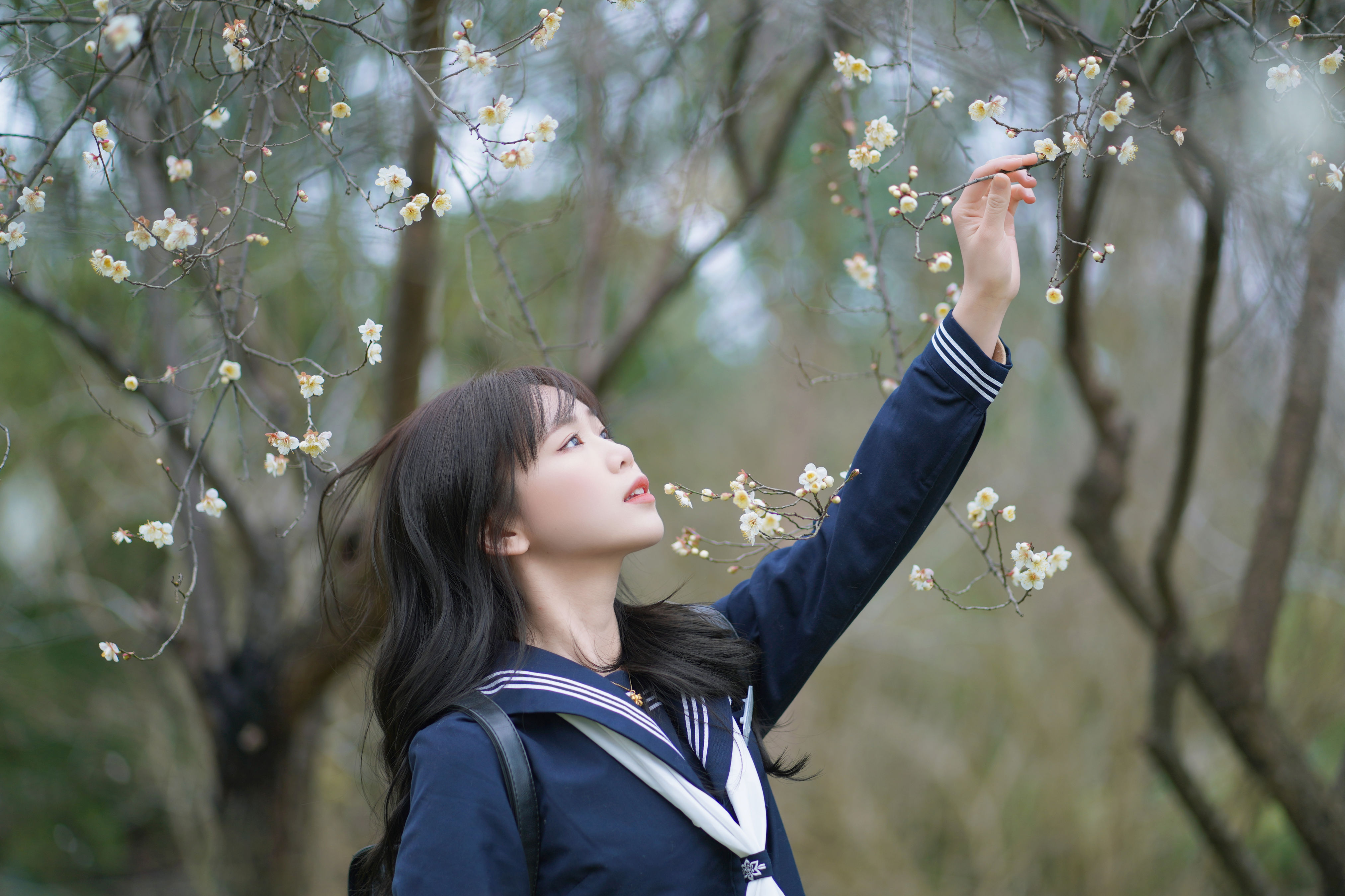 梅花树下 梅花 JK 水手服 美少女 树林