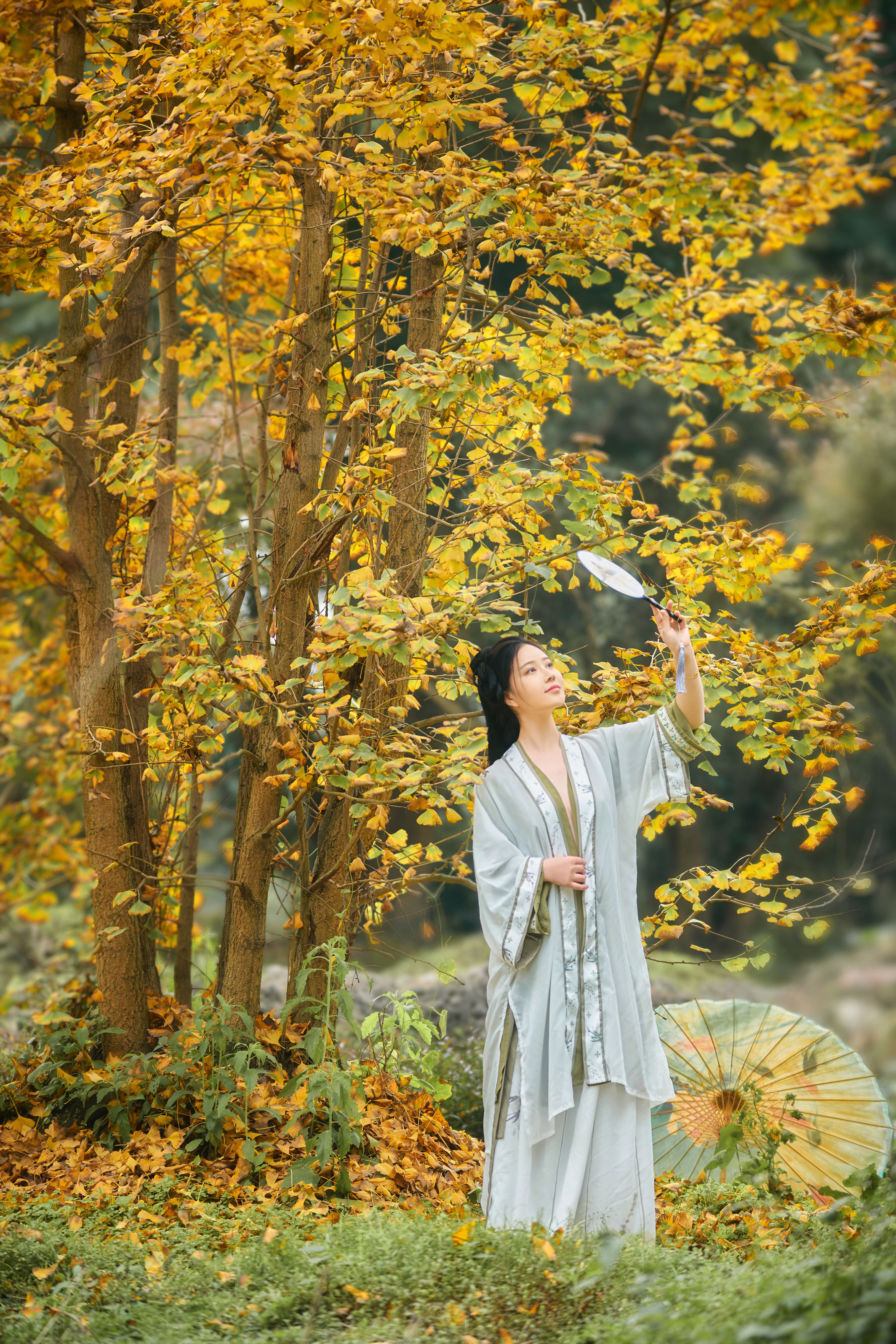 秋意浓 汉服 古代 姑娘 树林 秋天