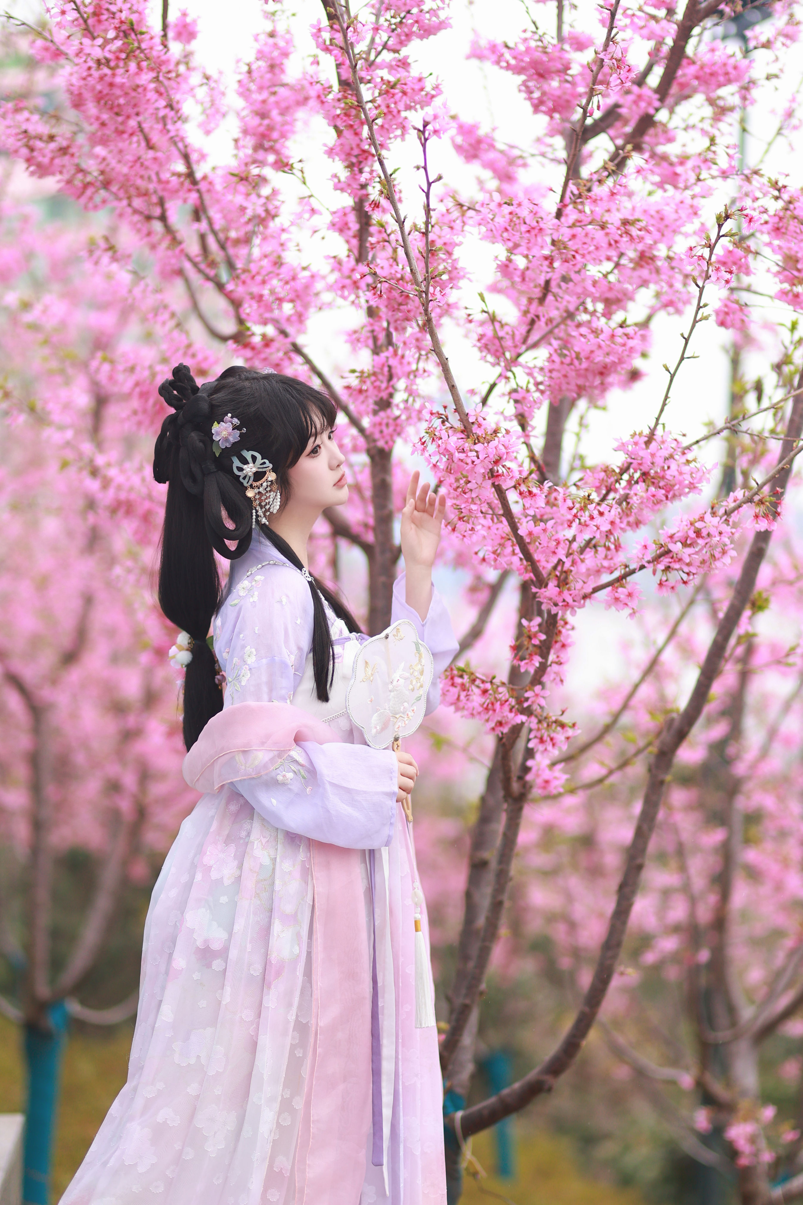 粉樱梦 樱花 小姐姐 写真 花 汉服