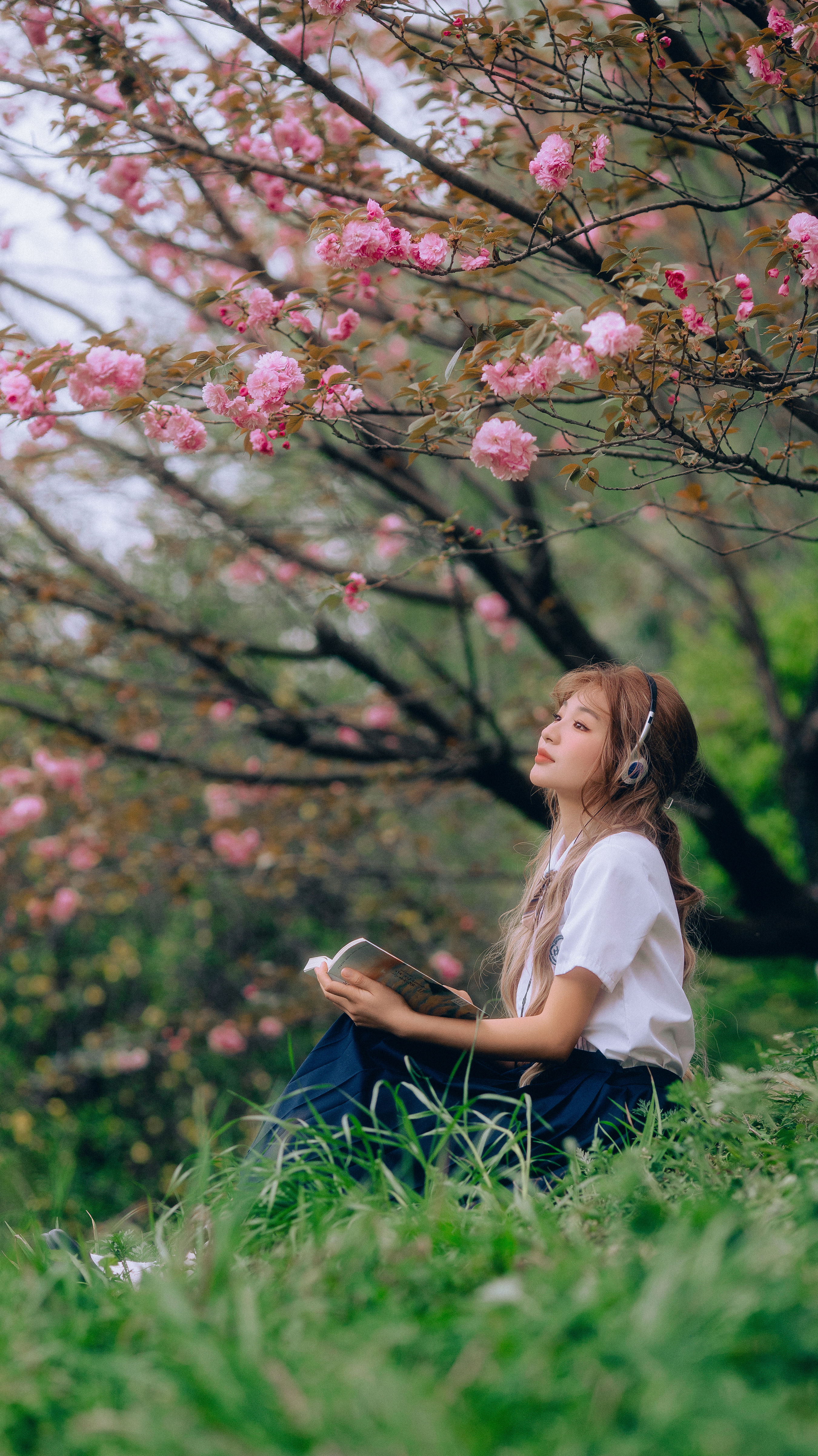 三月樱花盛开，绚烂如梦的春之韵。