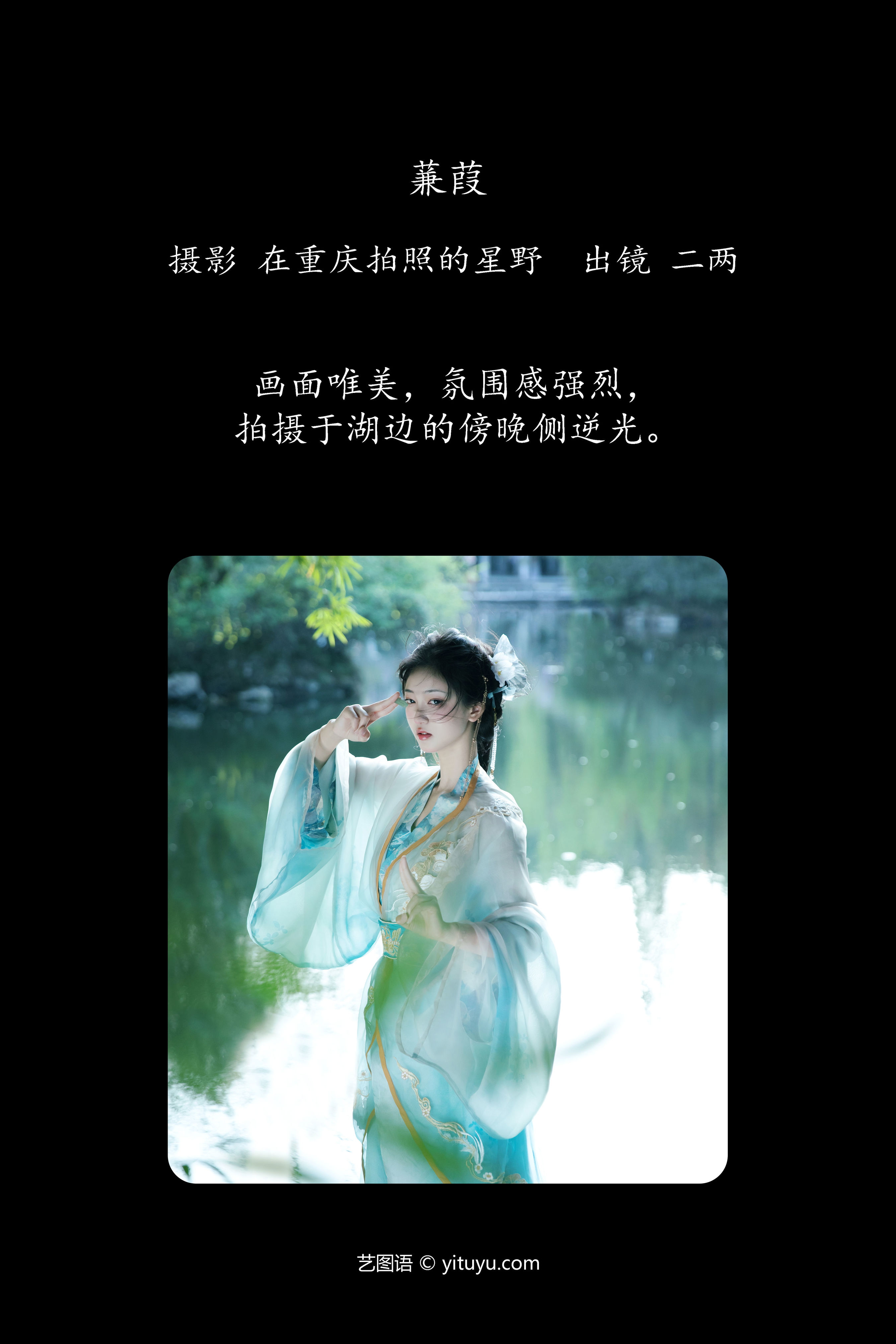 蒹葭苍苍，情思飘渺：秋水伊人美景记