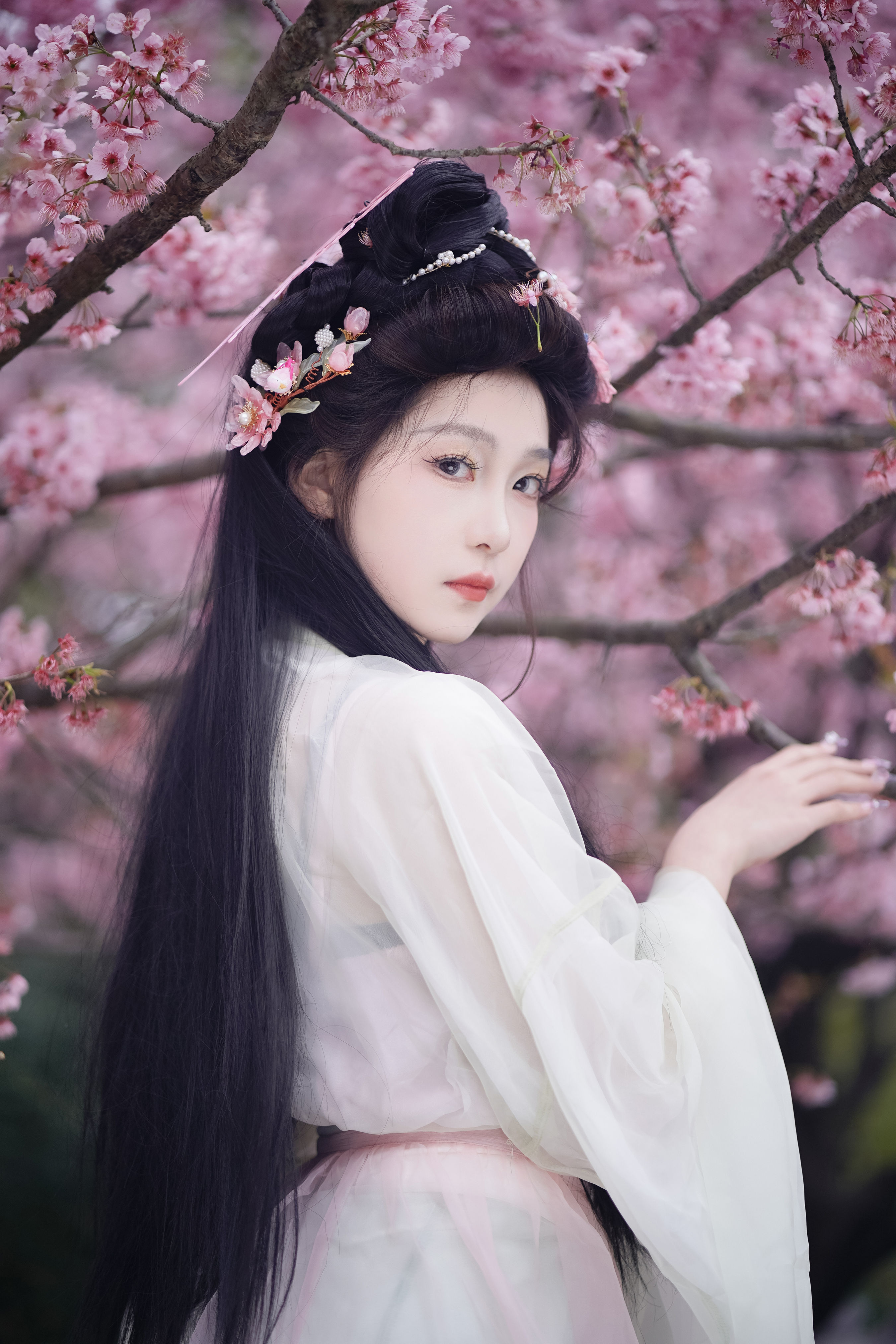 春天 春天 樱花 汉服 美人 写真