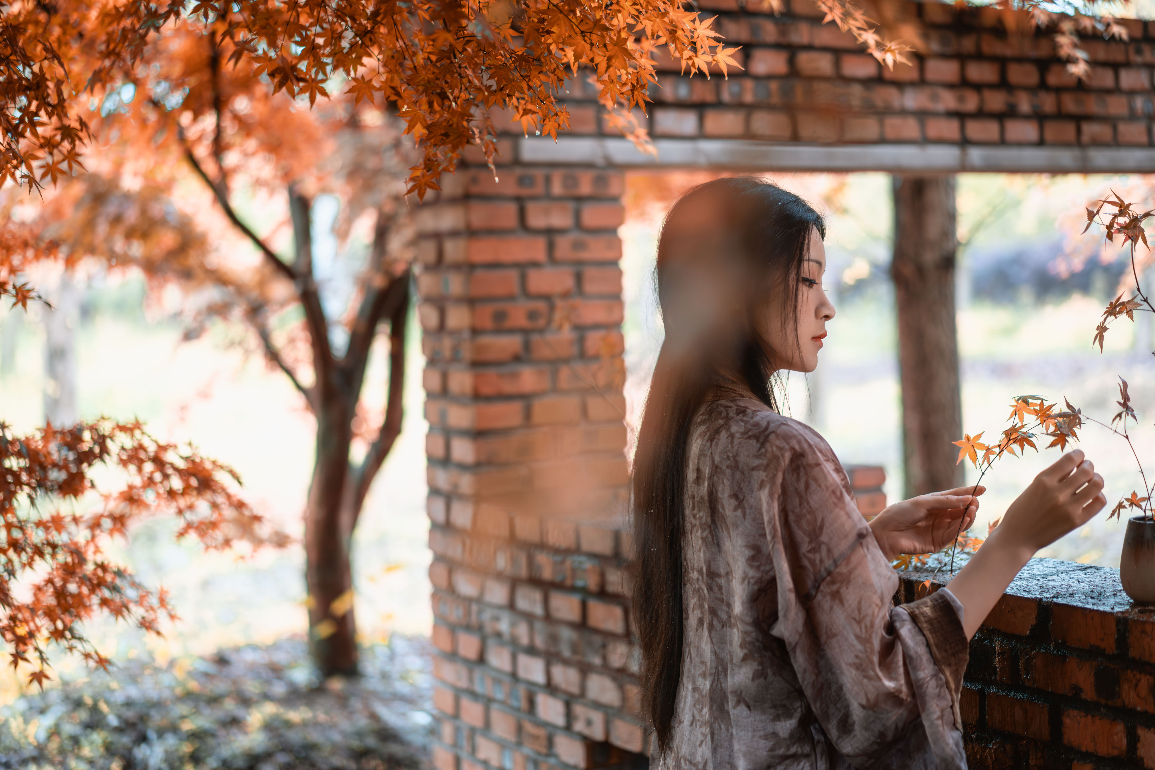 浮年浅 中国风 枫叶 意境 禅意 人物 唯美 古风