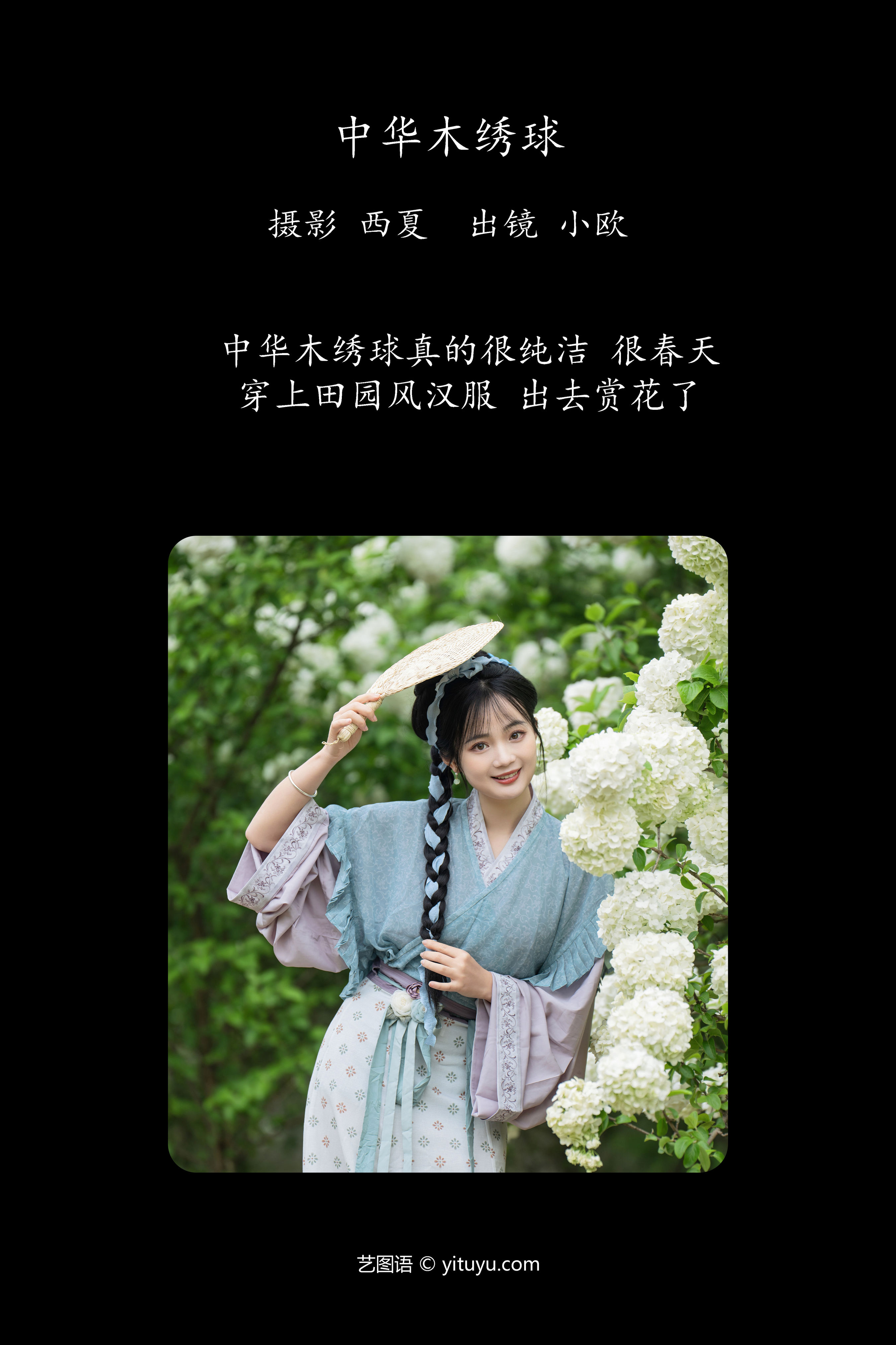 中华木绣球 古风 汉服 姑娘 小清新 绣球花