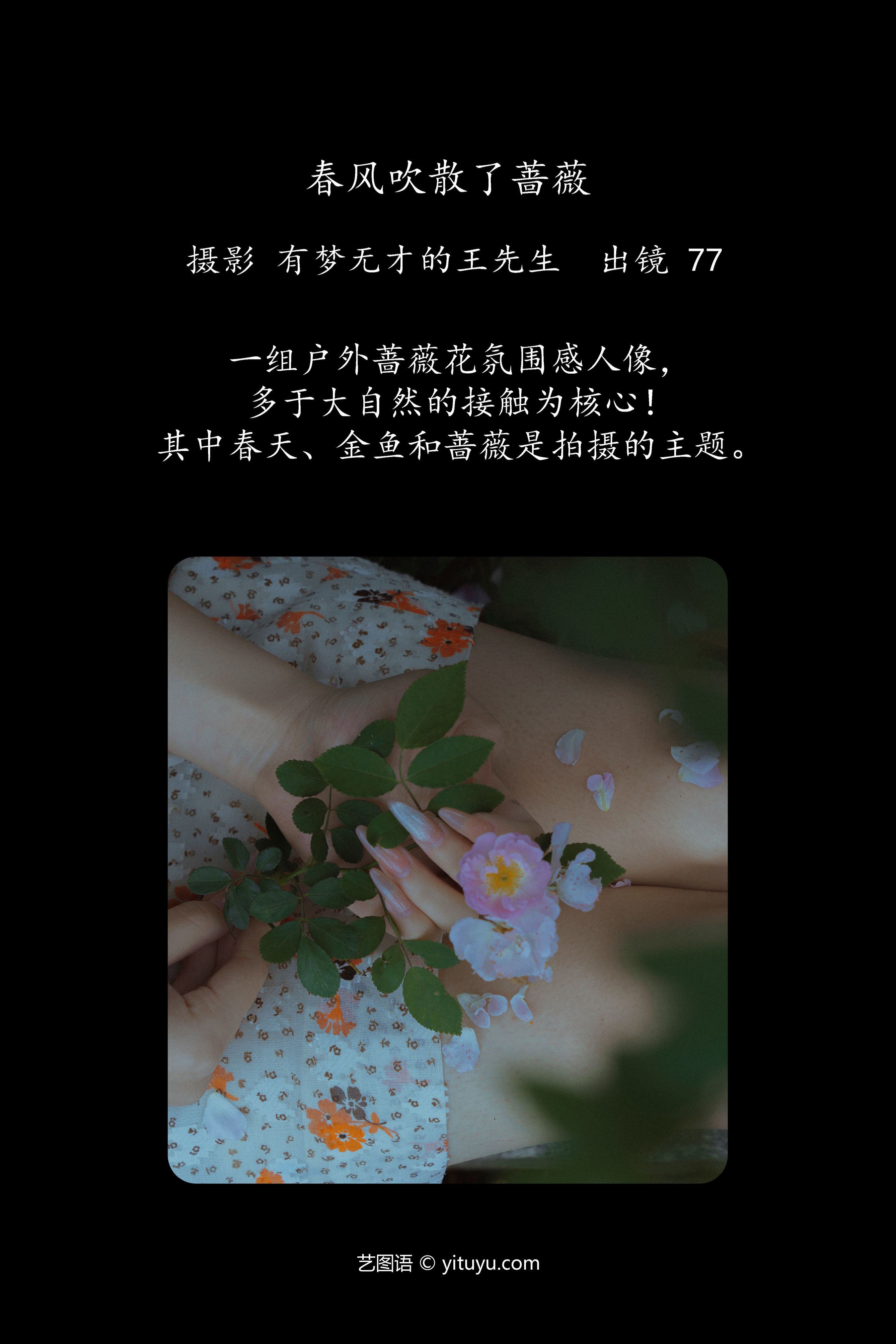 春风拂去蔷薇艳，新绿绽放生机时