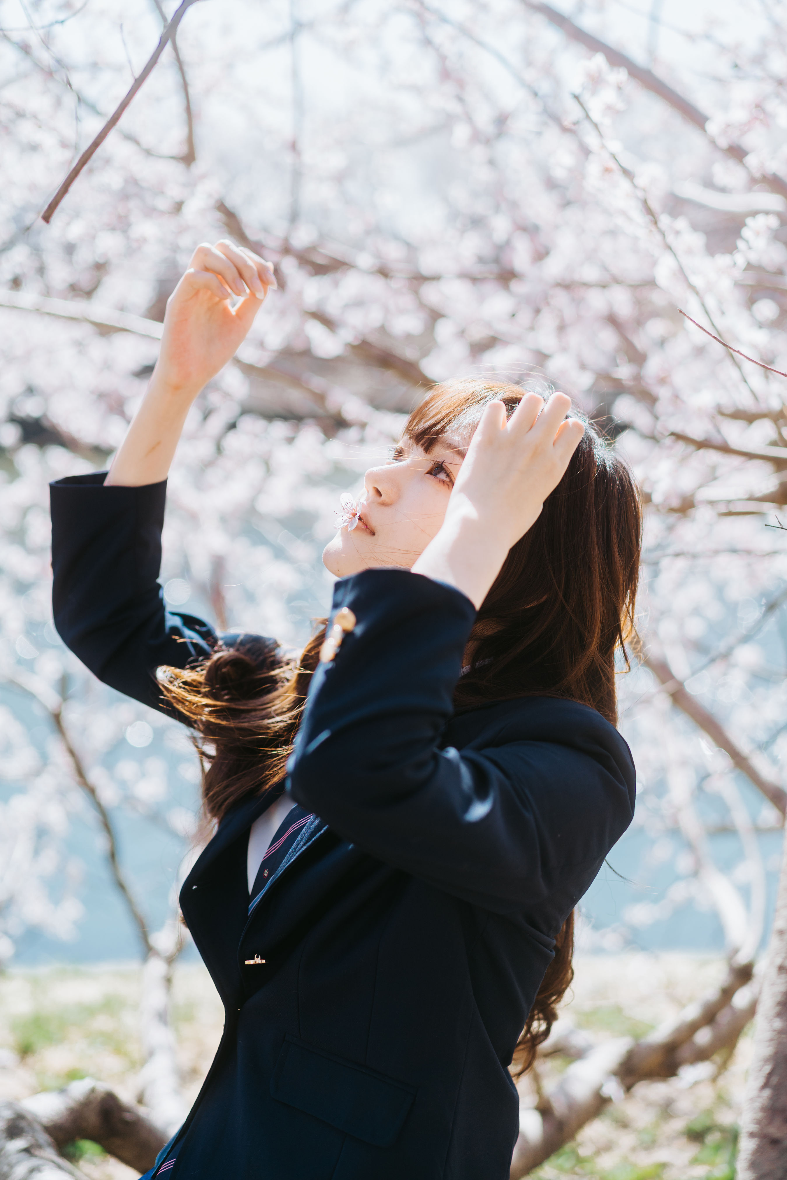 花之韵与少女梦：绽放的美丽与青春的赞歌