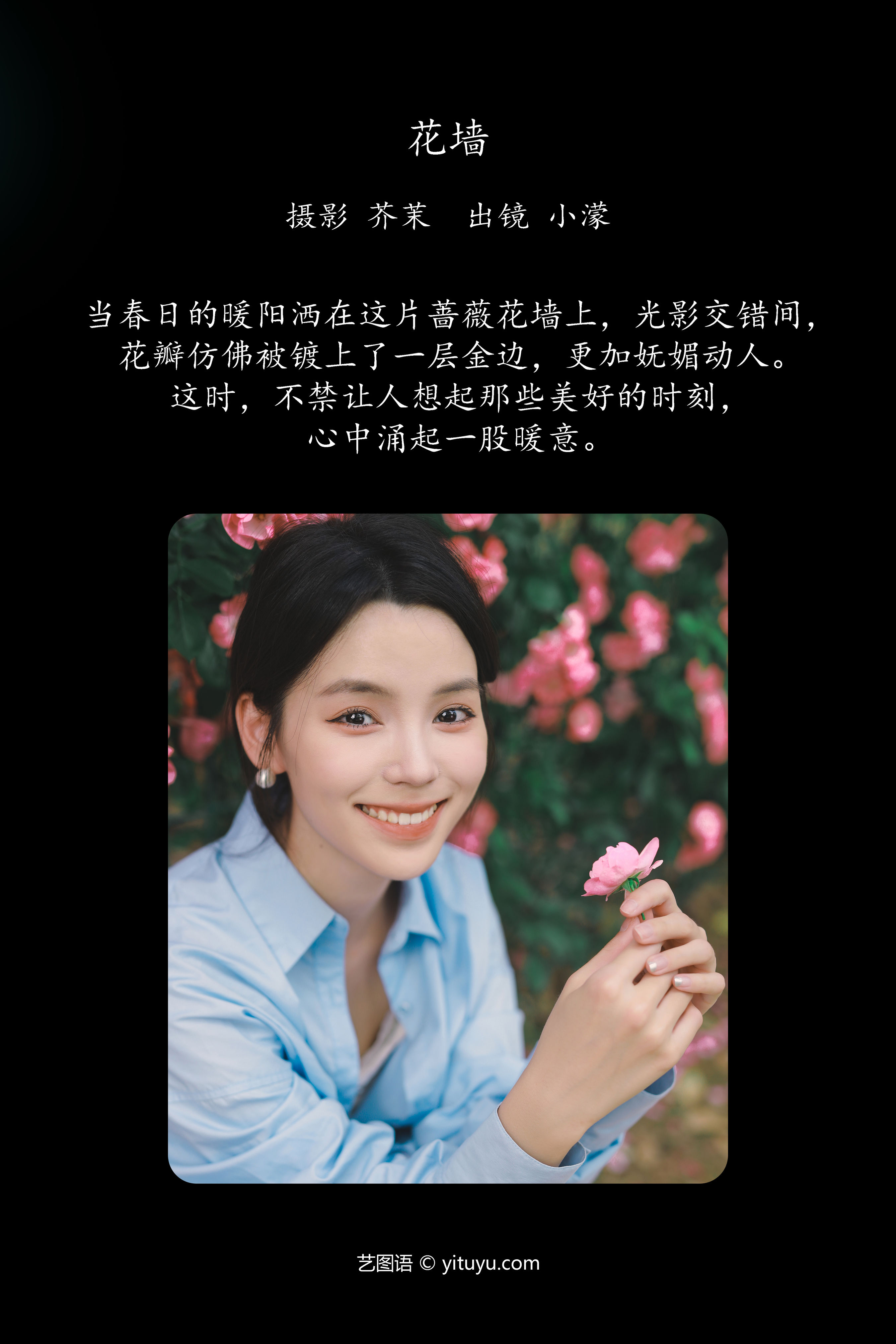 花墙之美：绚烂色彩与独特设计的视觉盛宴。